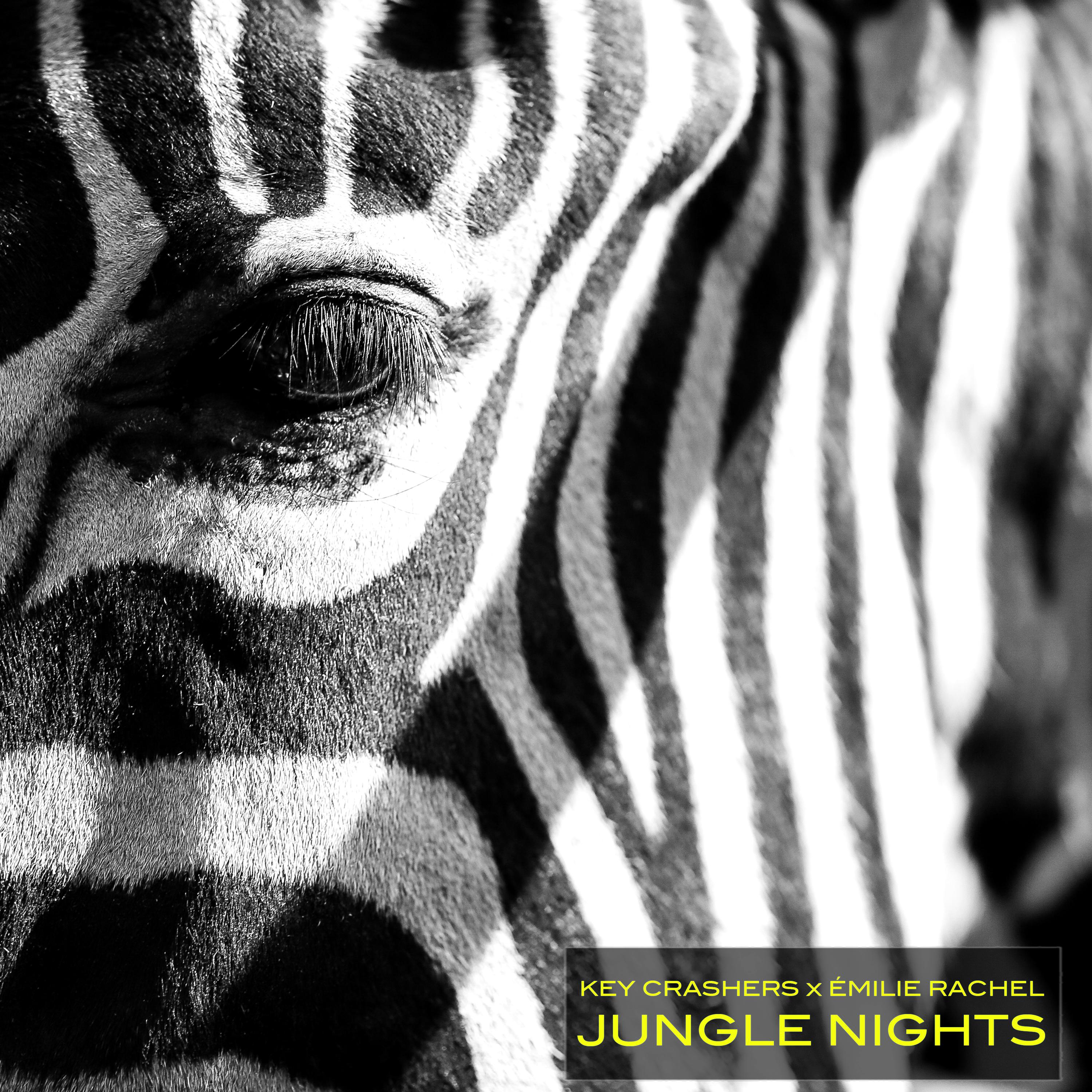 Постер альбома Jungle Nights
