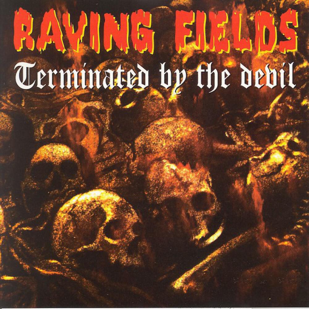 Speedmaster - Reaching Out (Raving Fileds Terminated By The Devil Megamix)