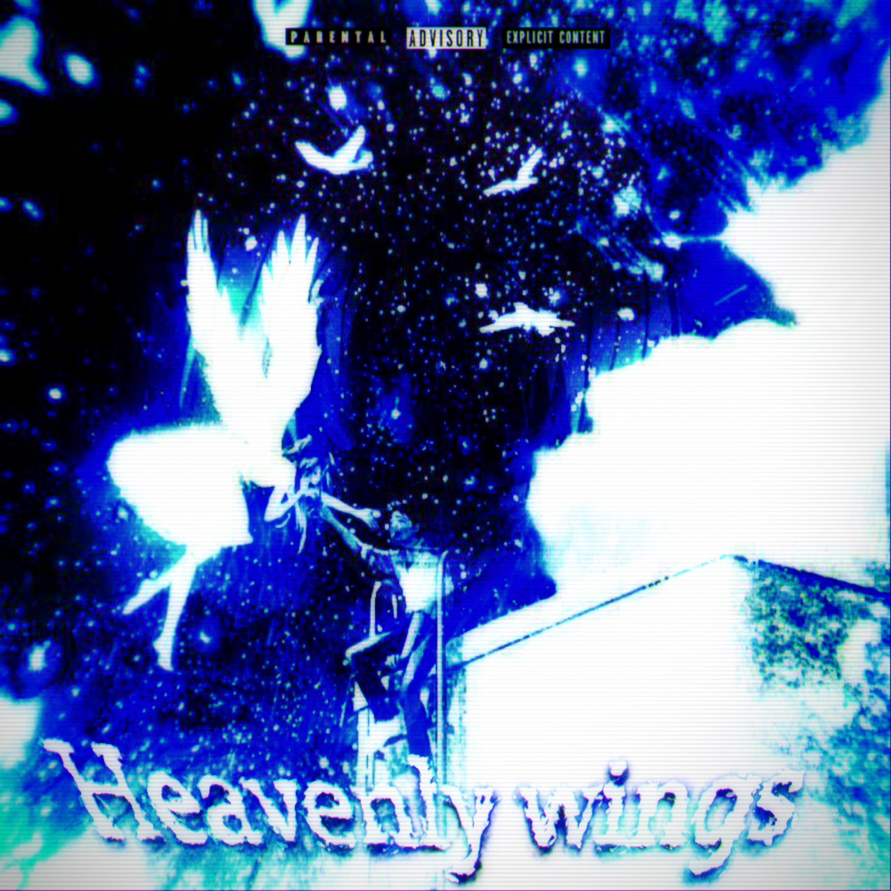 Постер альбома Heavenly Wings