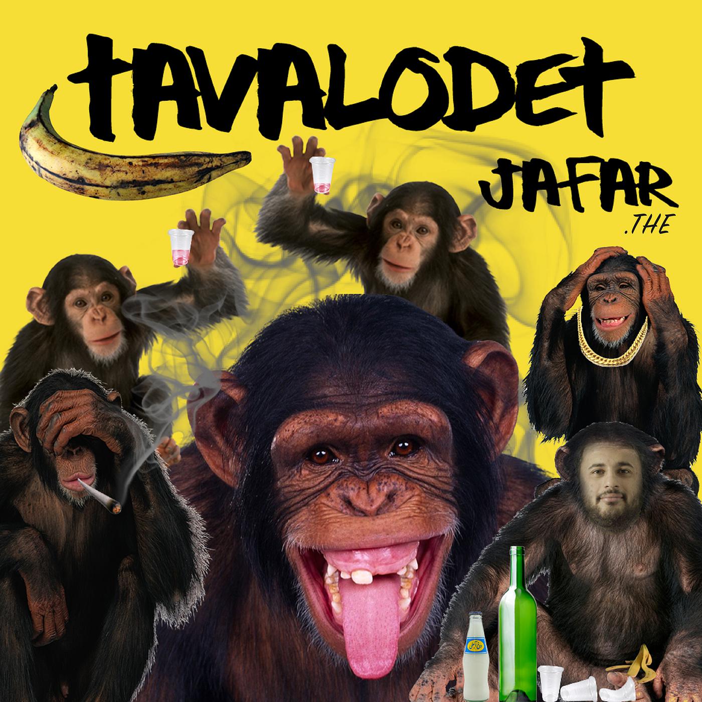 Постер альбома Tavalodet