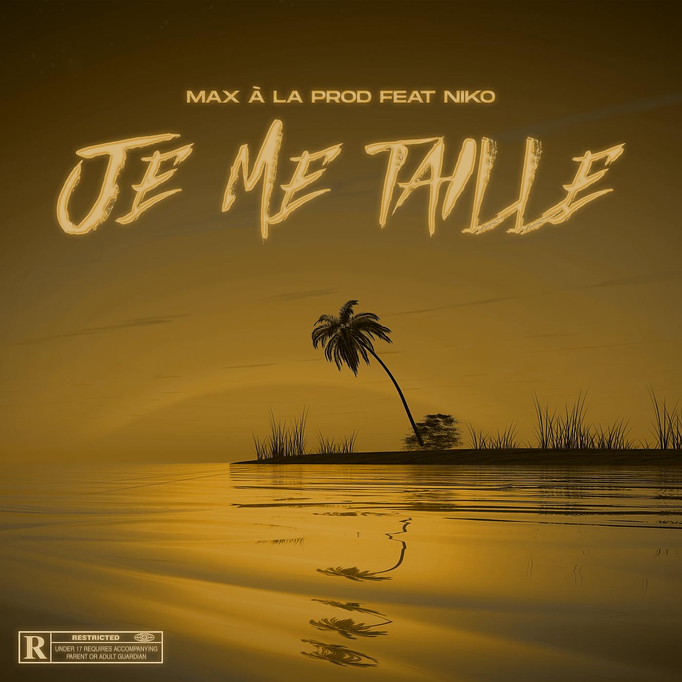 Постер альбома Je Me Taille