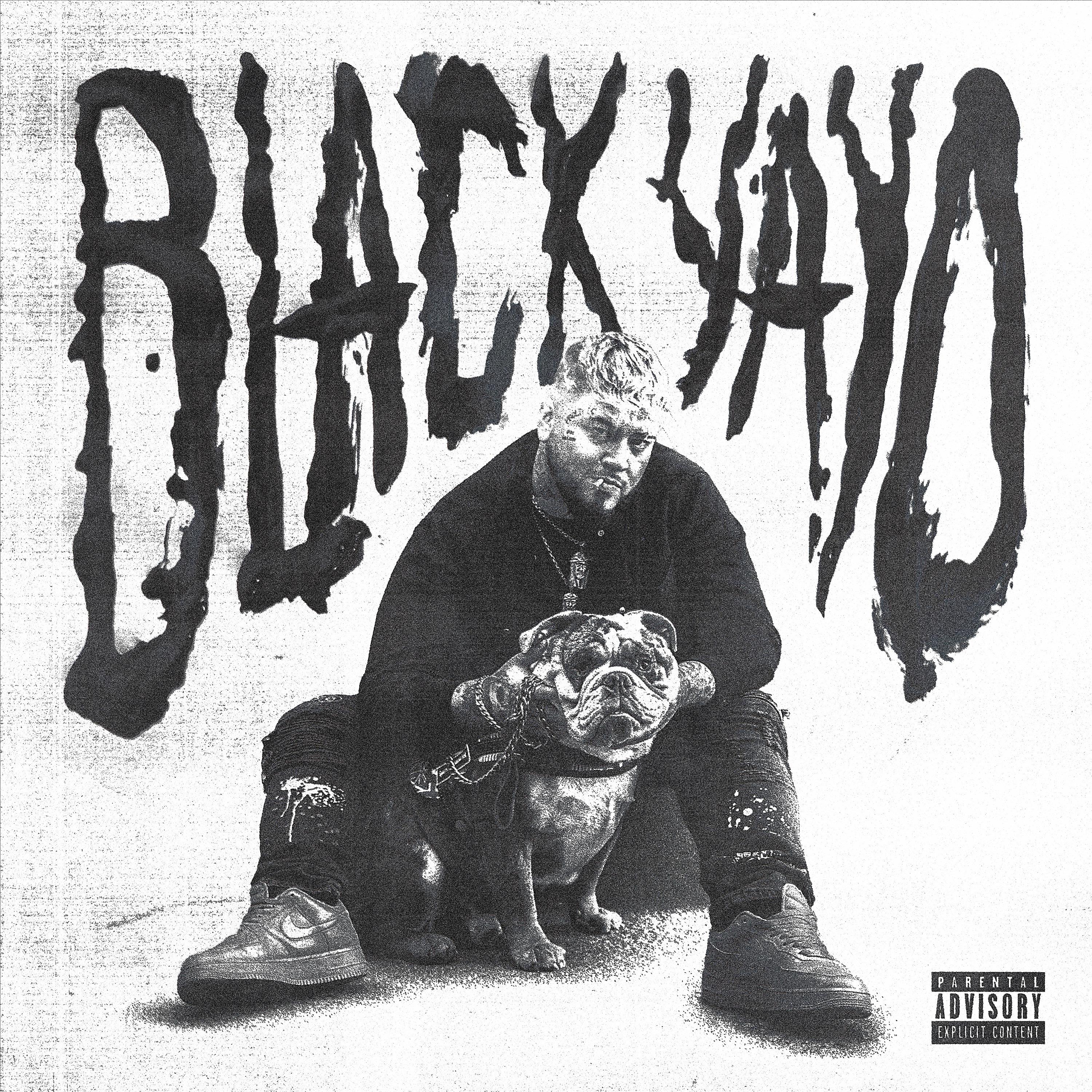 Постер альбома BLACK YAYO, VOL. 1