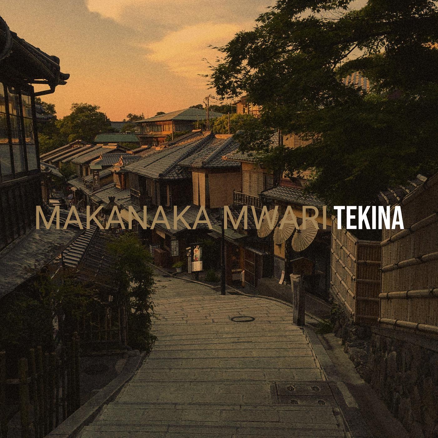Постер альбома Makanaka Mwari