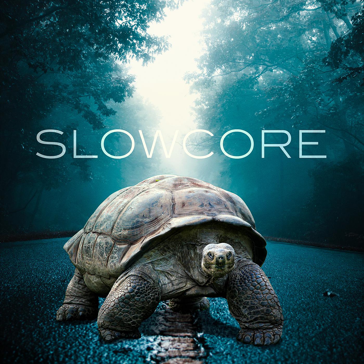 Постер альбома Slowcore