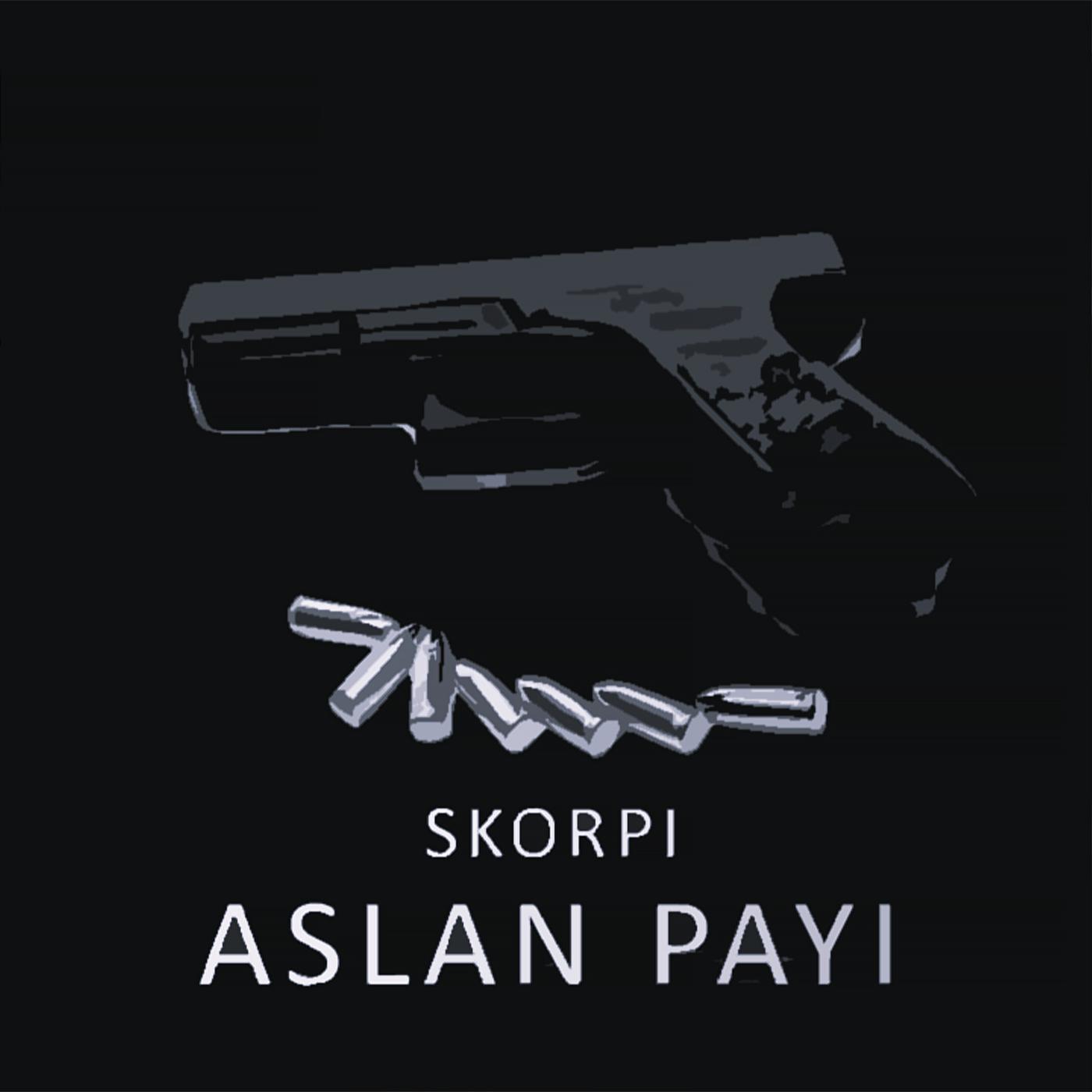 Постер альбома Aslan Payı