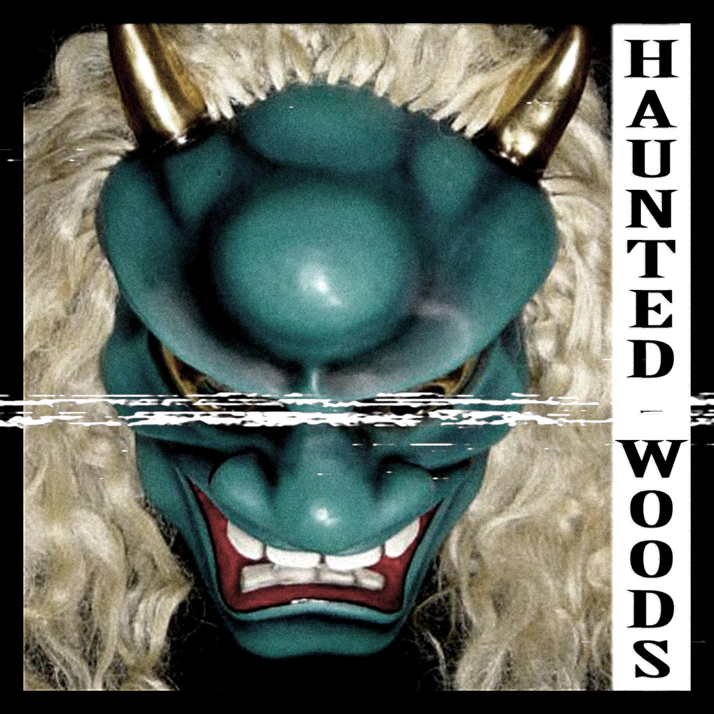 Постер альбома Haunted Woods