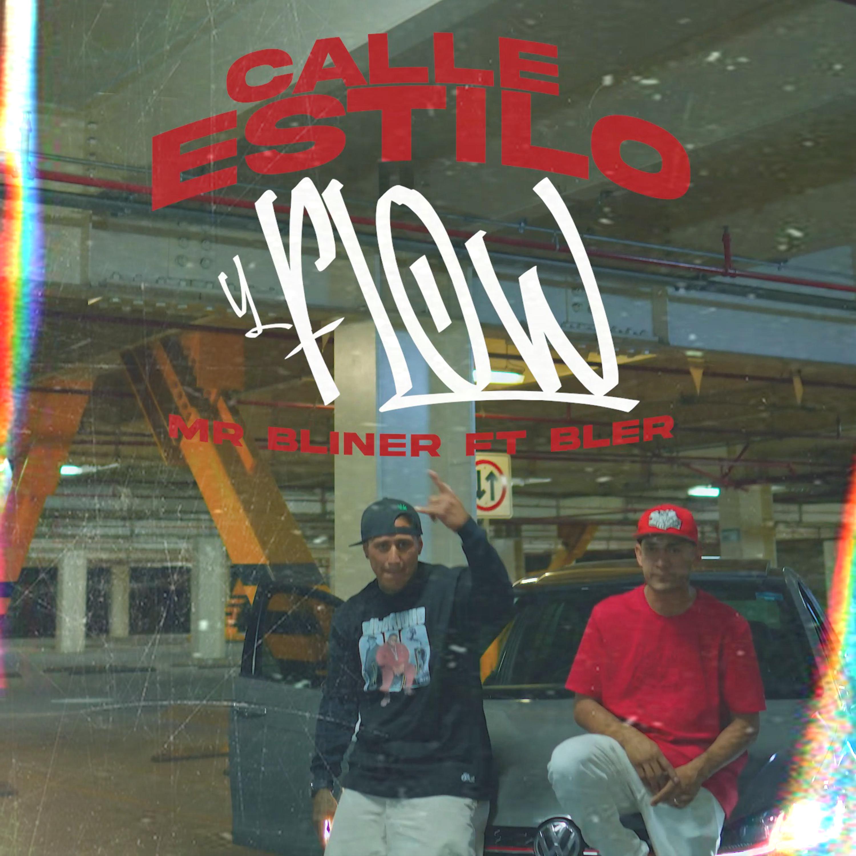 Постер альбома Calle, Estilo y Flow
