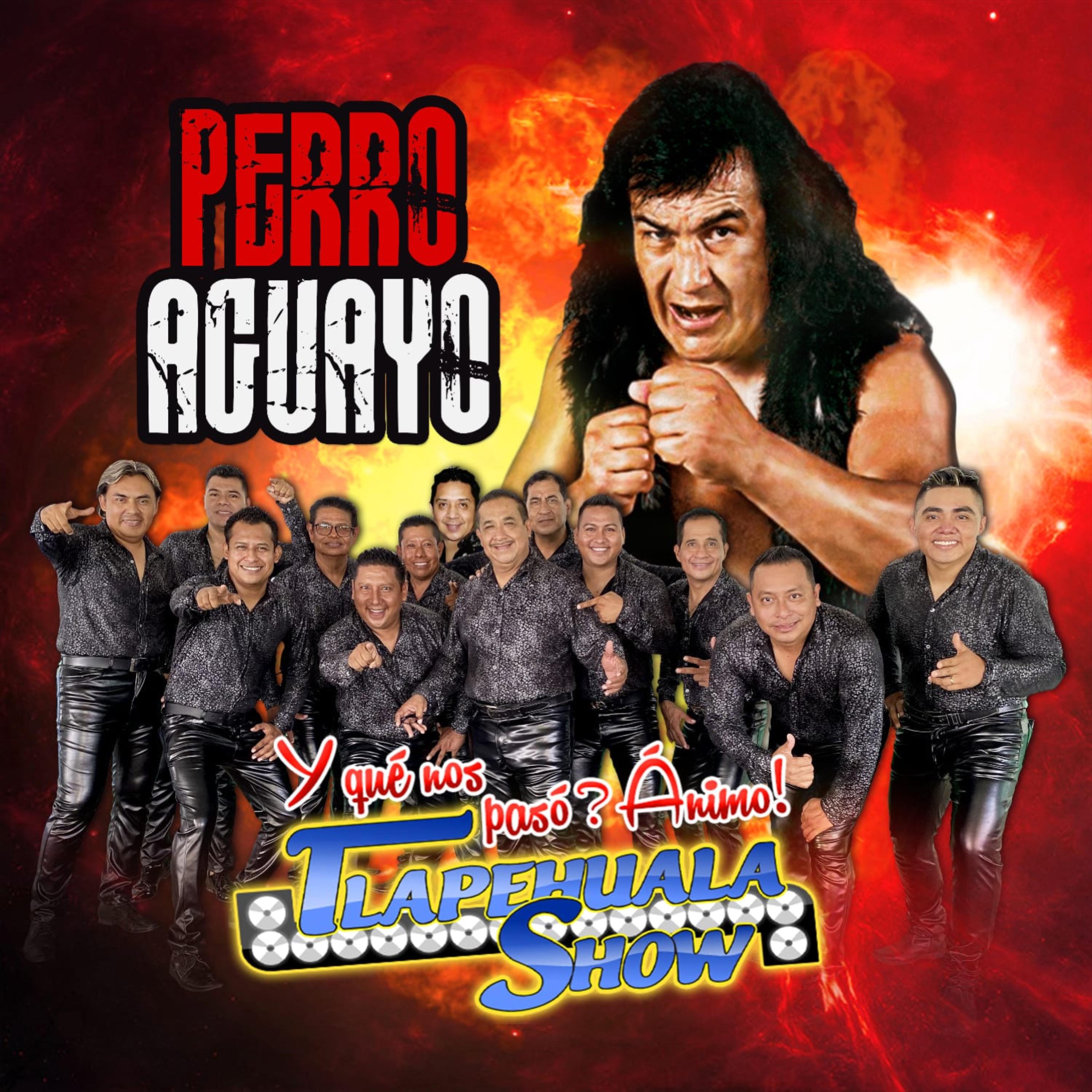 Постер альбома Perro Aguayo