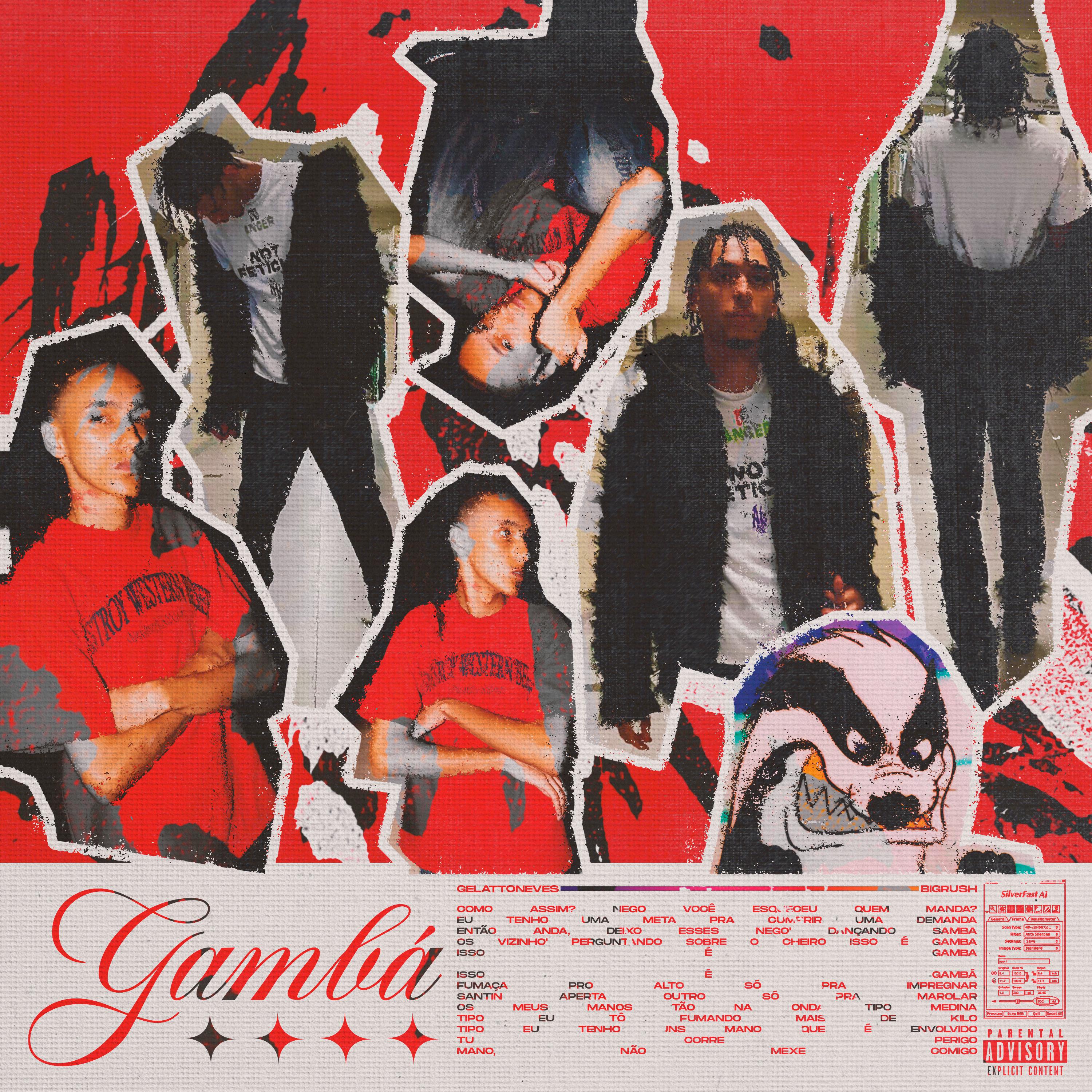 Постер альбома Gambá