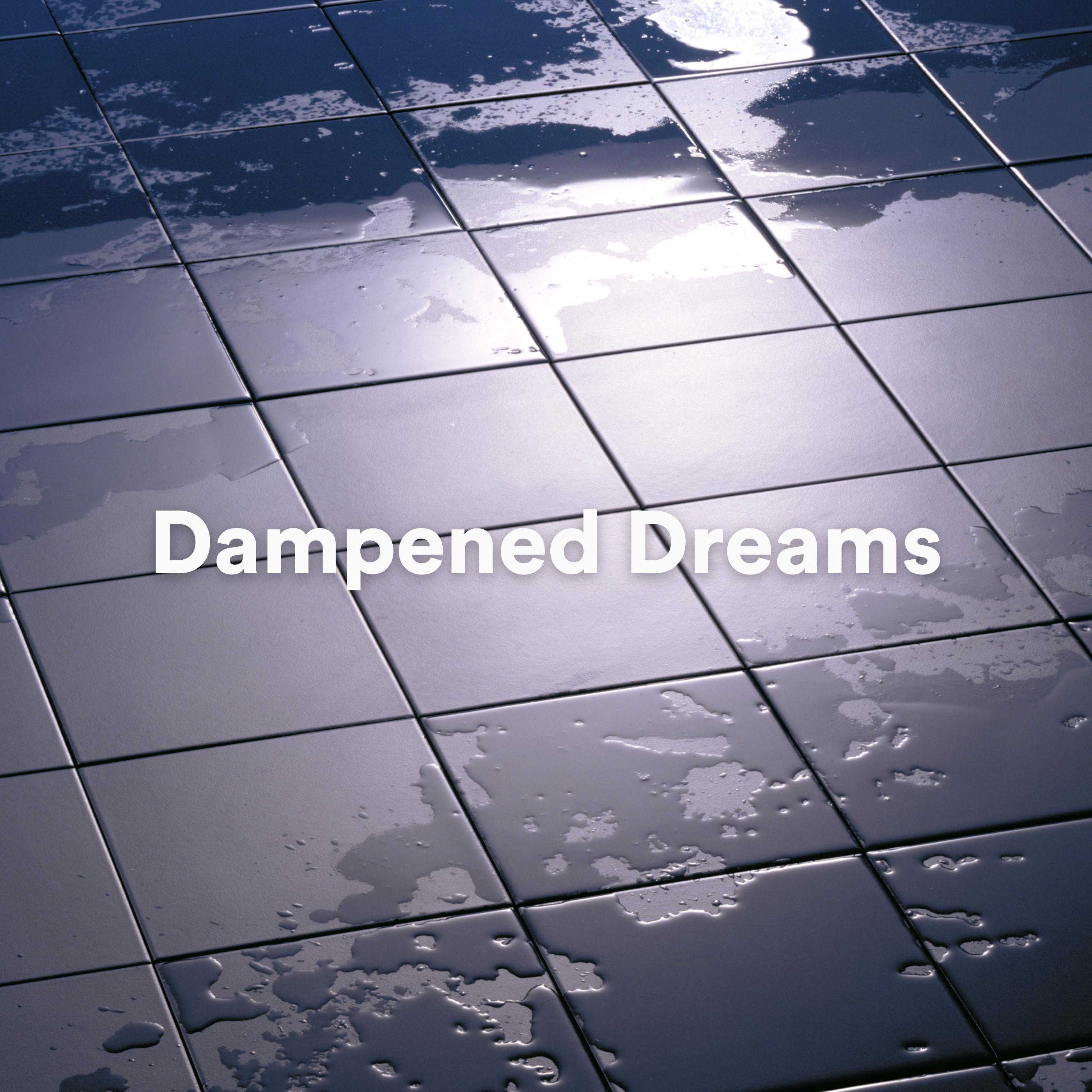 Постер альбома Dampened Dreams