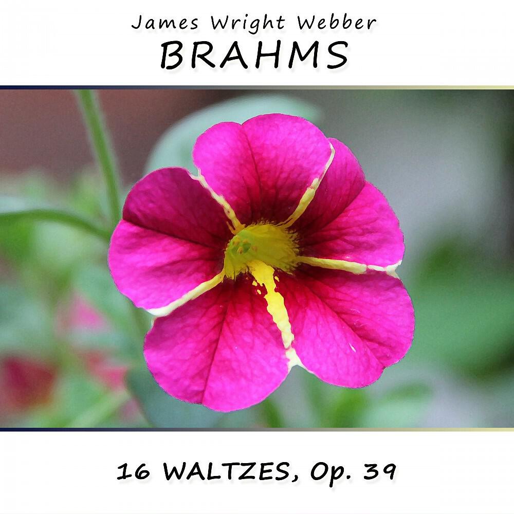 James Wright Webber - 16 Waltzes, Op. 39: No. 7 in C-Sharp Minor