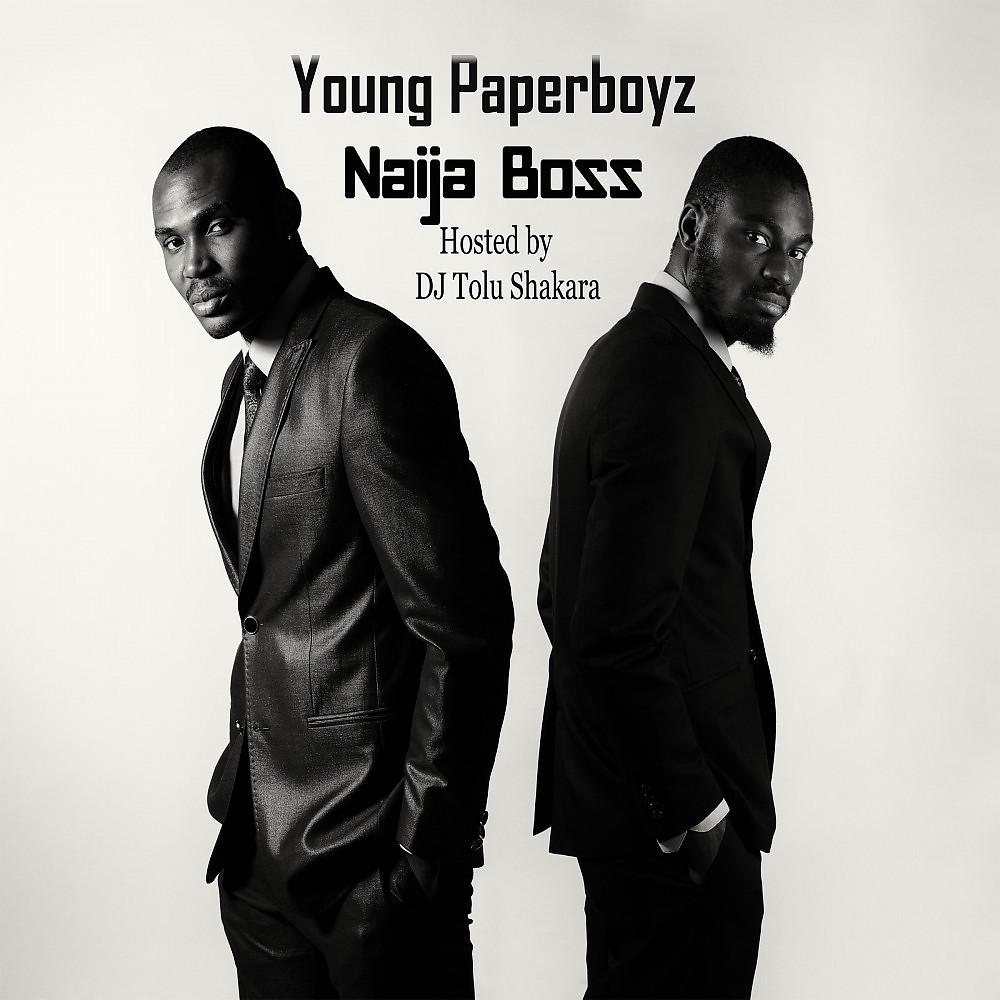 Постер альбома Naija Boss