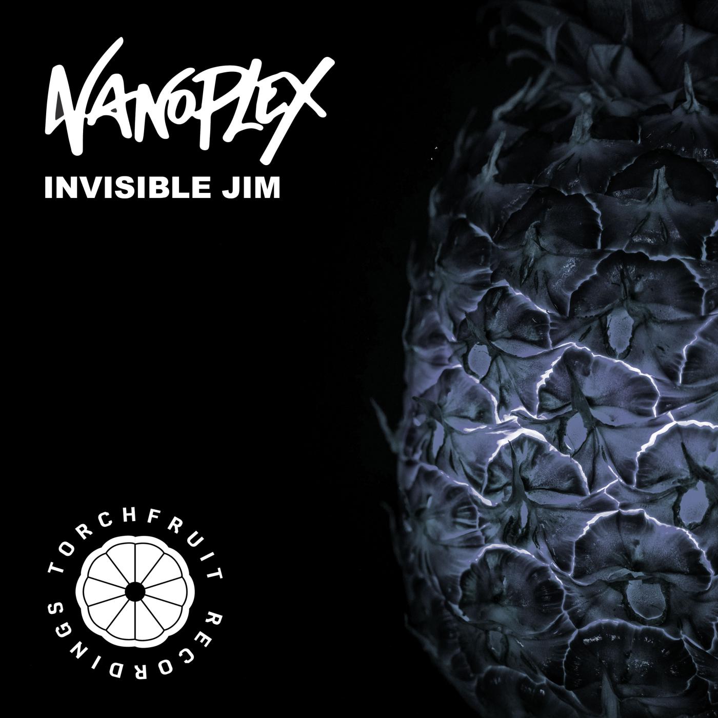 Постер альбома Invisible Jim