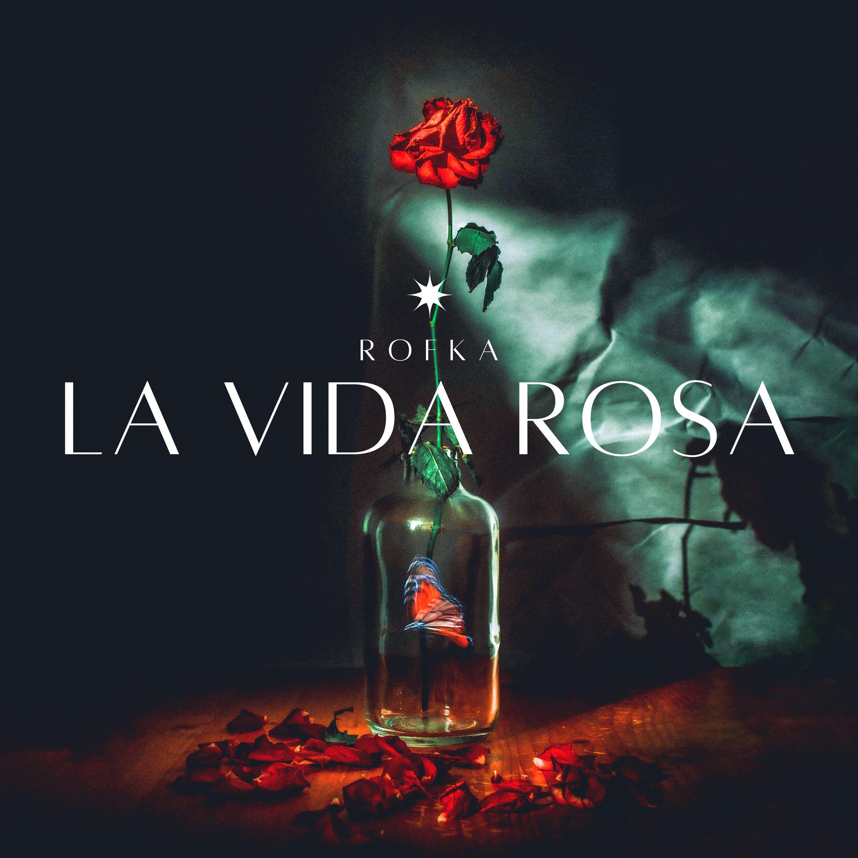 Постер альбома La Vida Rosa