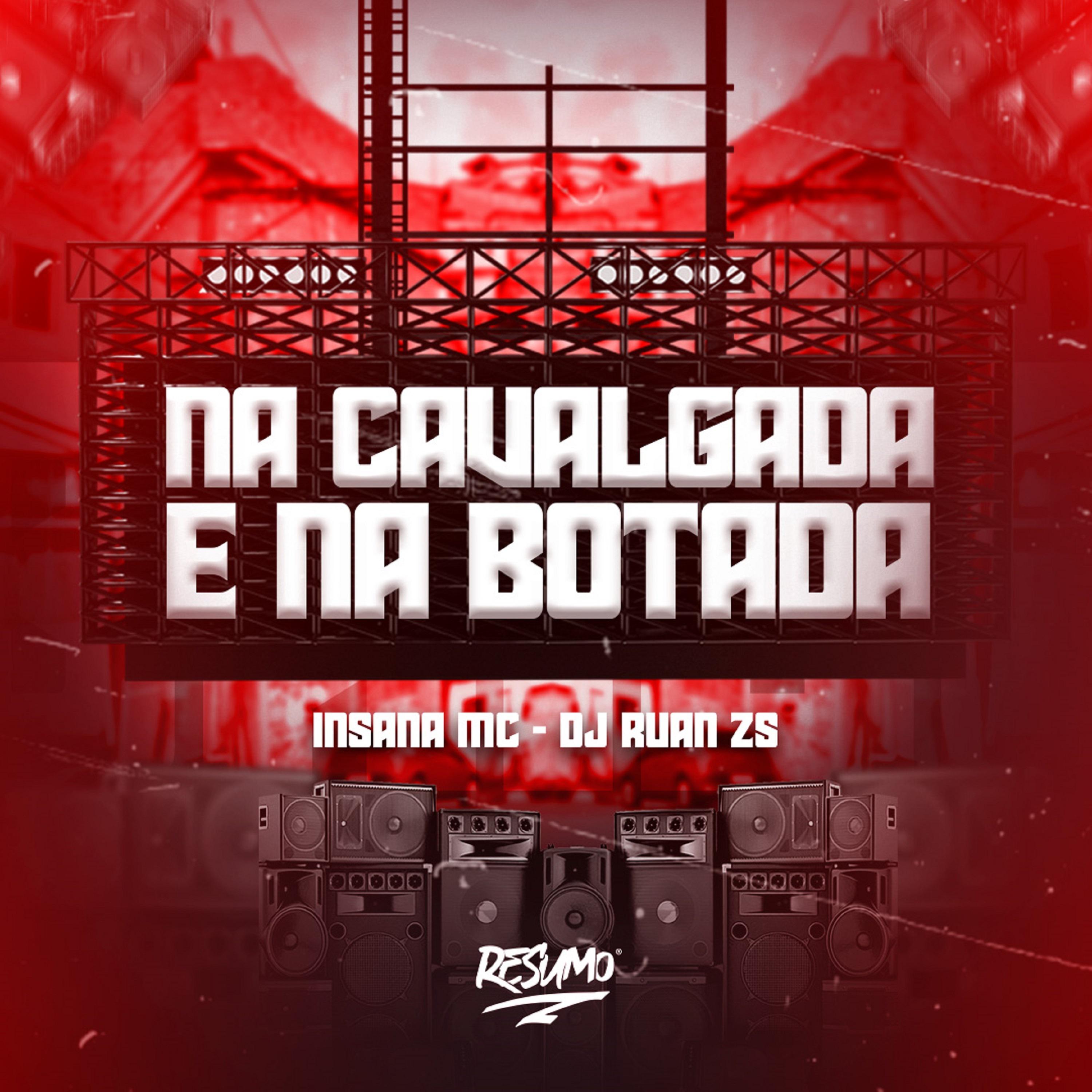 Постер альбома Na Cavalgada e na Botada