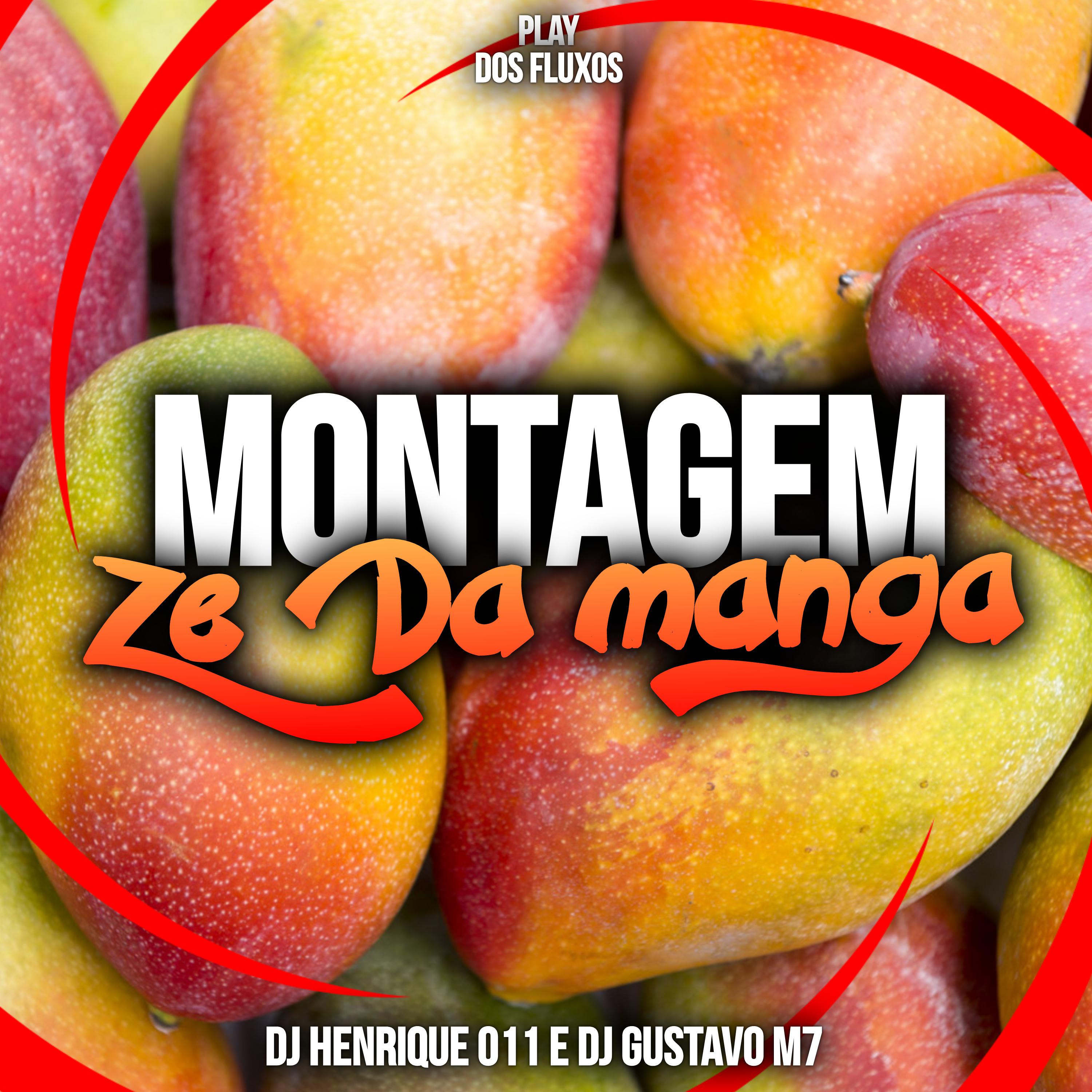 Постер альбома Montagem Zé da Manga