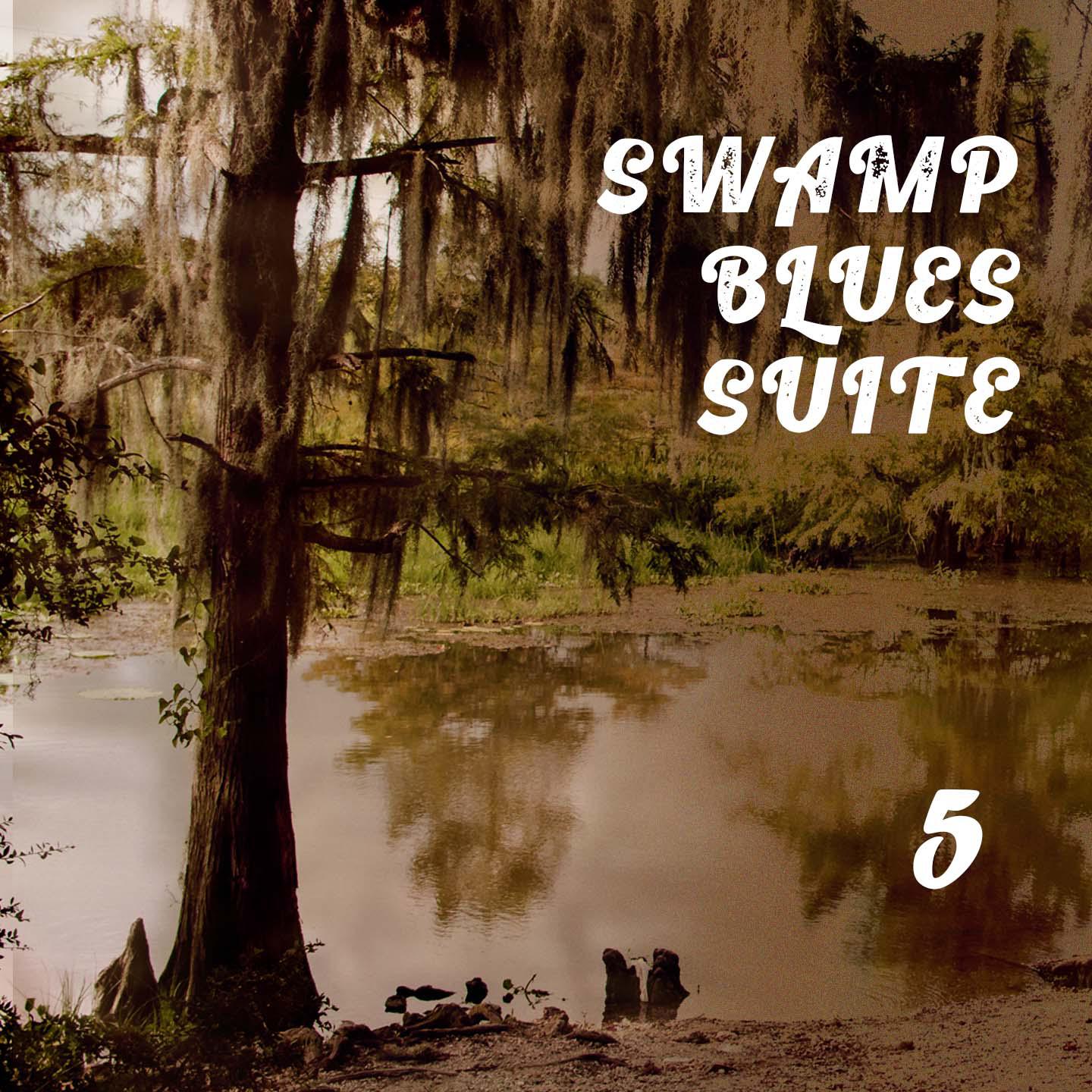 Постер альбома Swamp Blues Suite 5