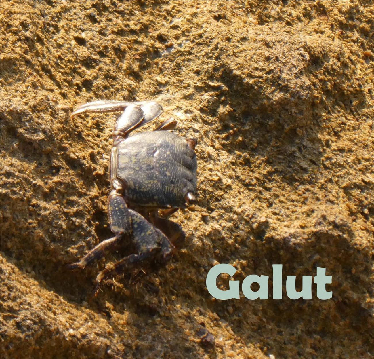 Постер альбома Galut: Ballads of Wadi-Sabi