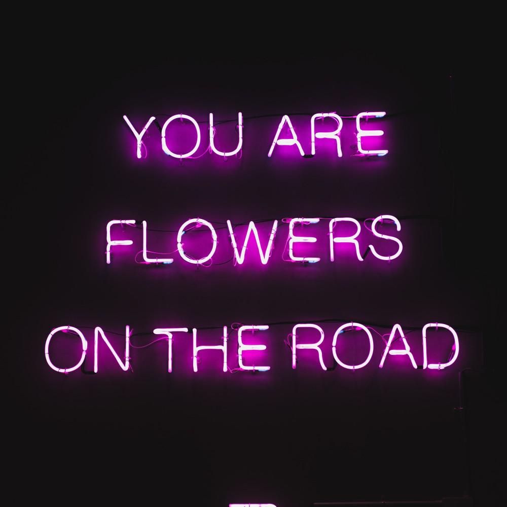 Постер альбома Flowers on the Road