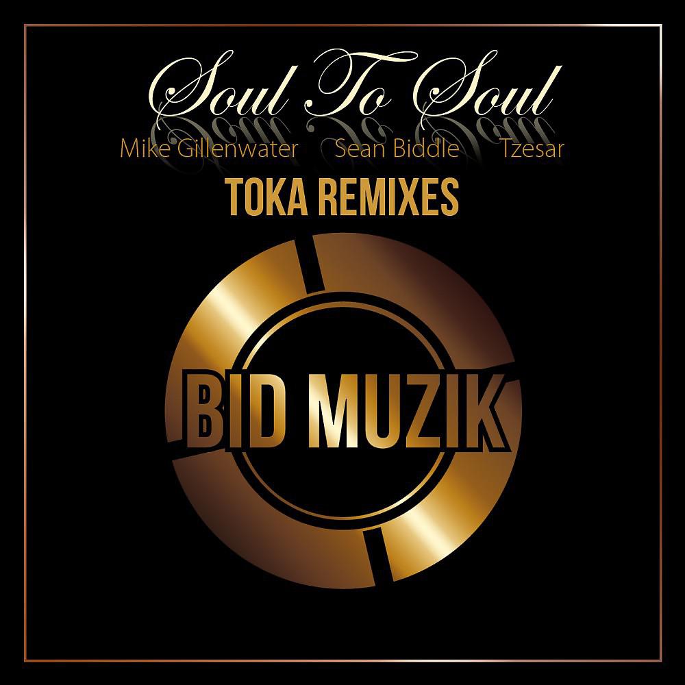 Постер альбома Soul to Soul (Toka Remixes)