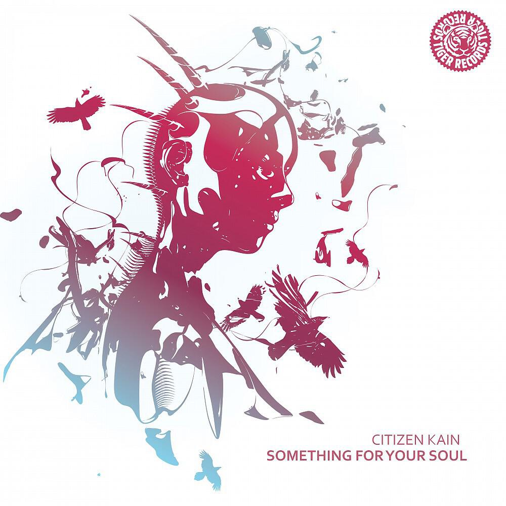 Citizen Kain - Something for Your Soul (DJ Falk Remix)