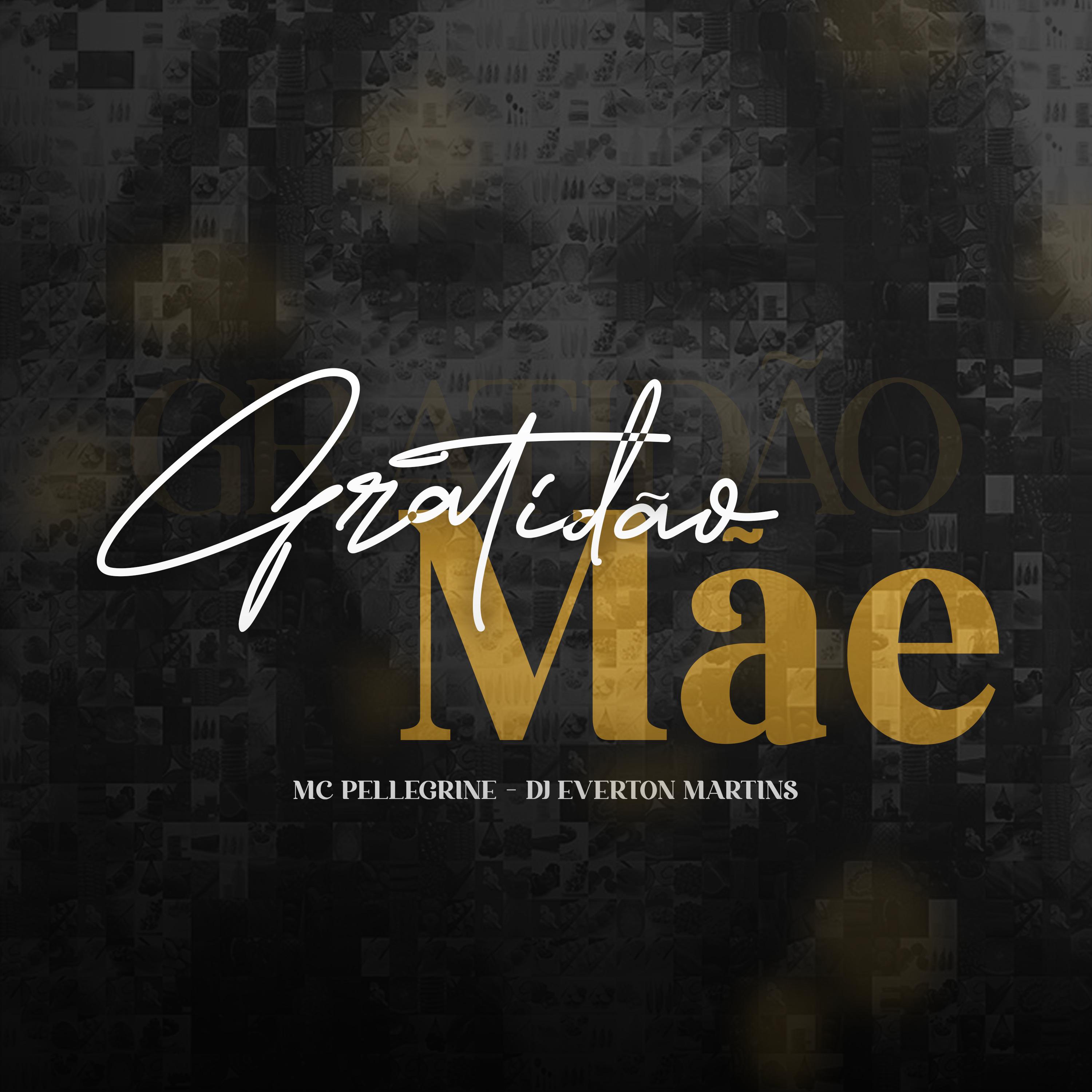 Постер альбома Gratidão Mãe