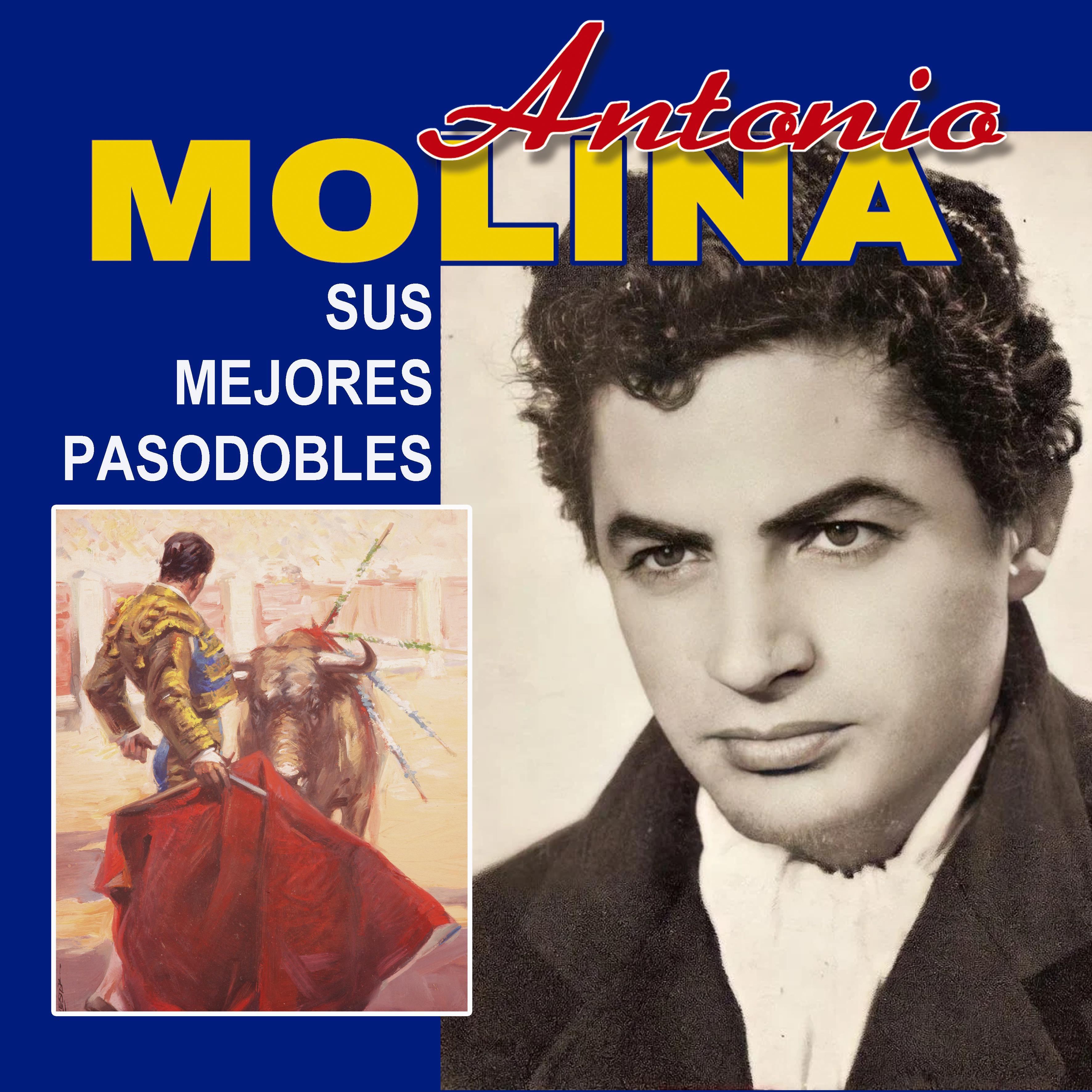 Постер альбома Sus Mejores Pasobobles