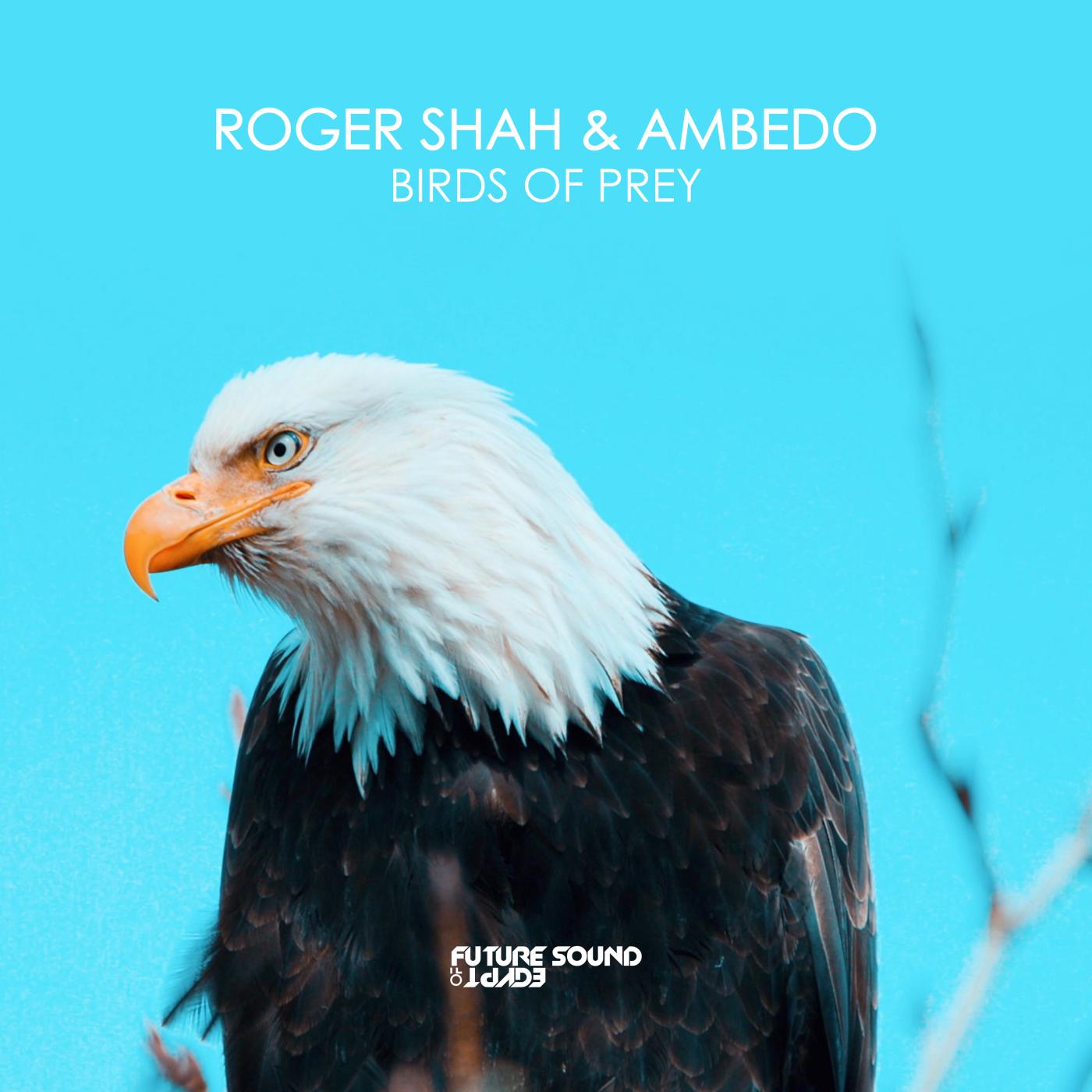 Постер альбома Birds Of Prey