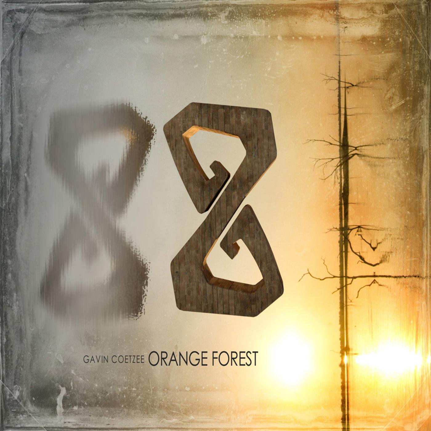 Постер альбома Orange Forest