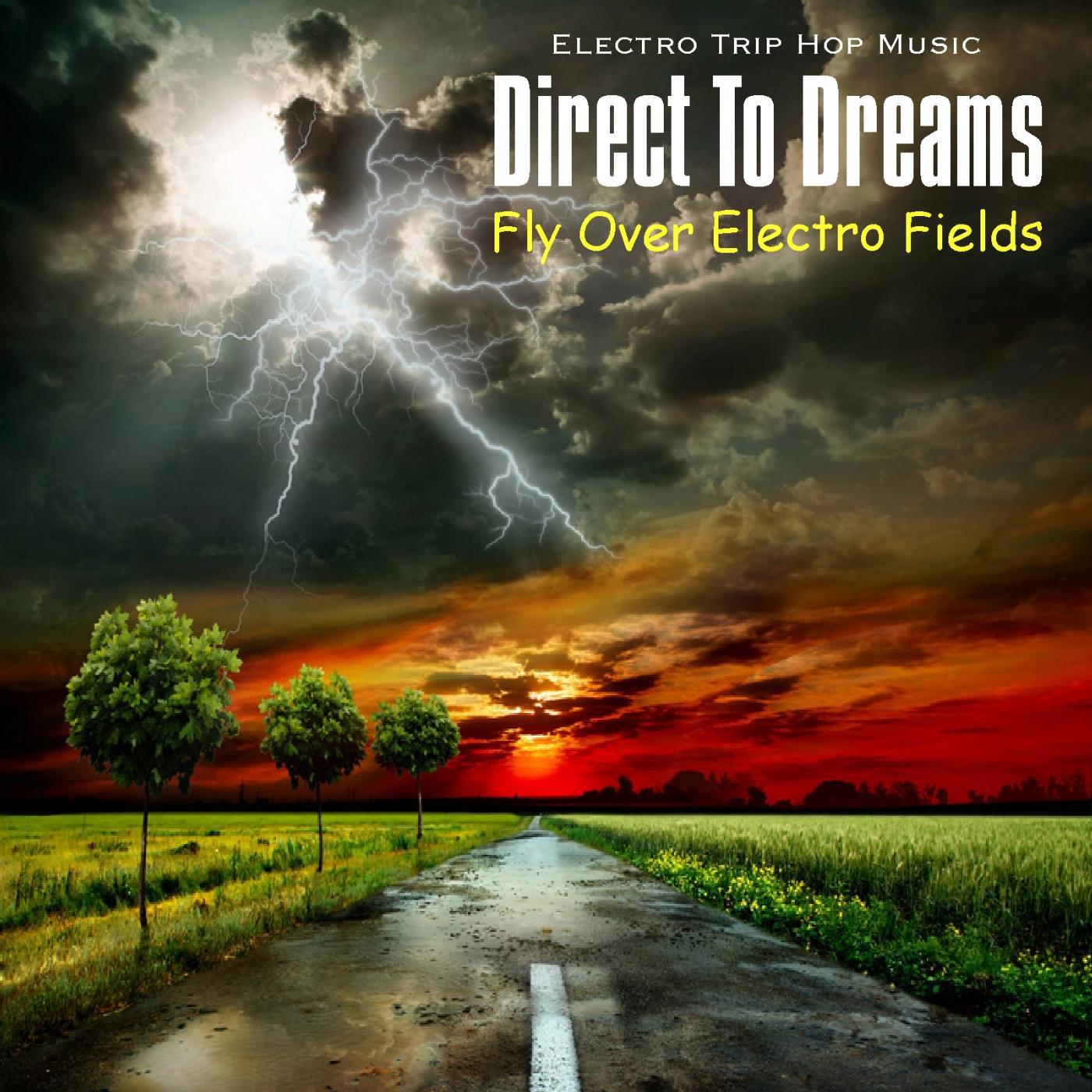 Постер альбома Fly over Electro Fields