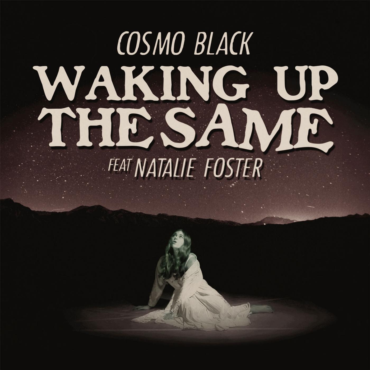 Постер альбома Waking up the Same (feat. Natalie Foster)