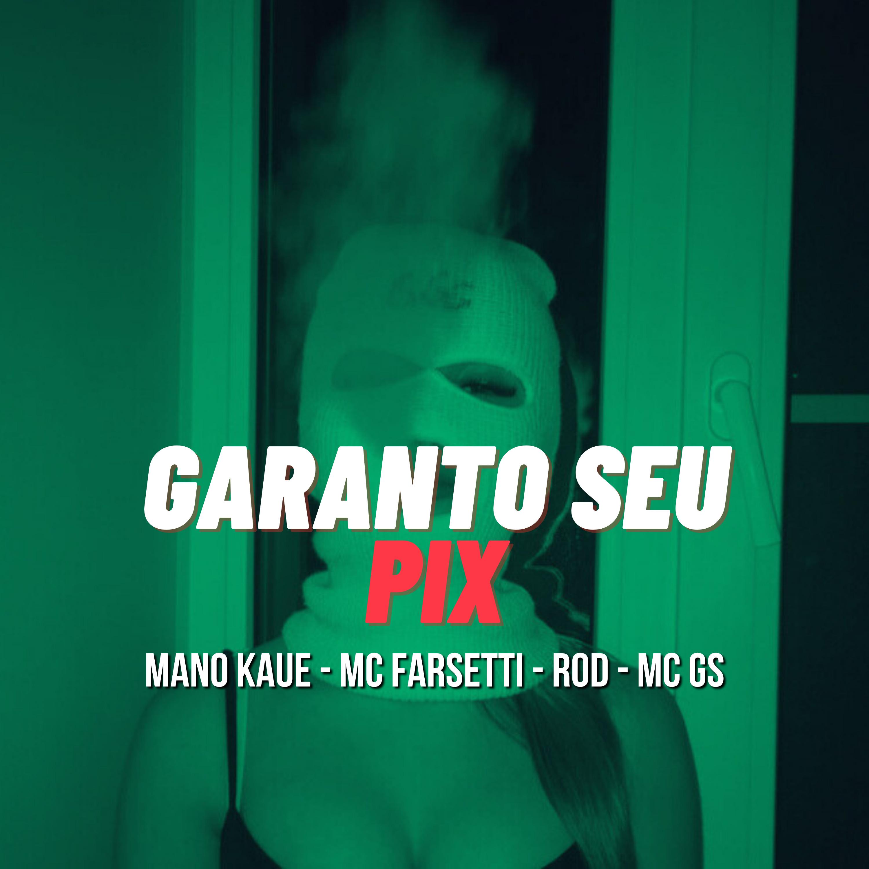 Постер альбома Garanto Seu Pix