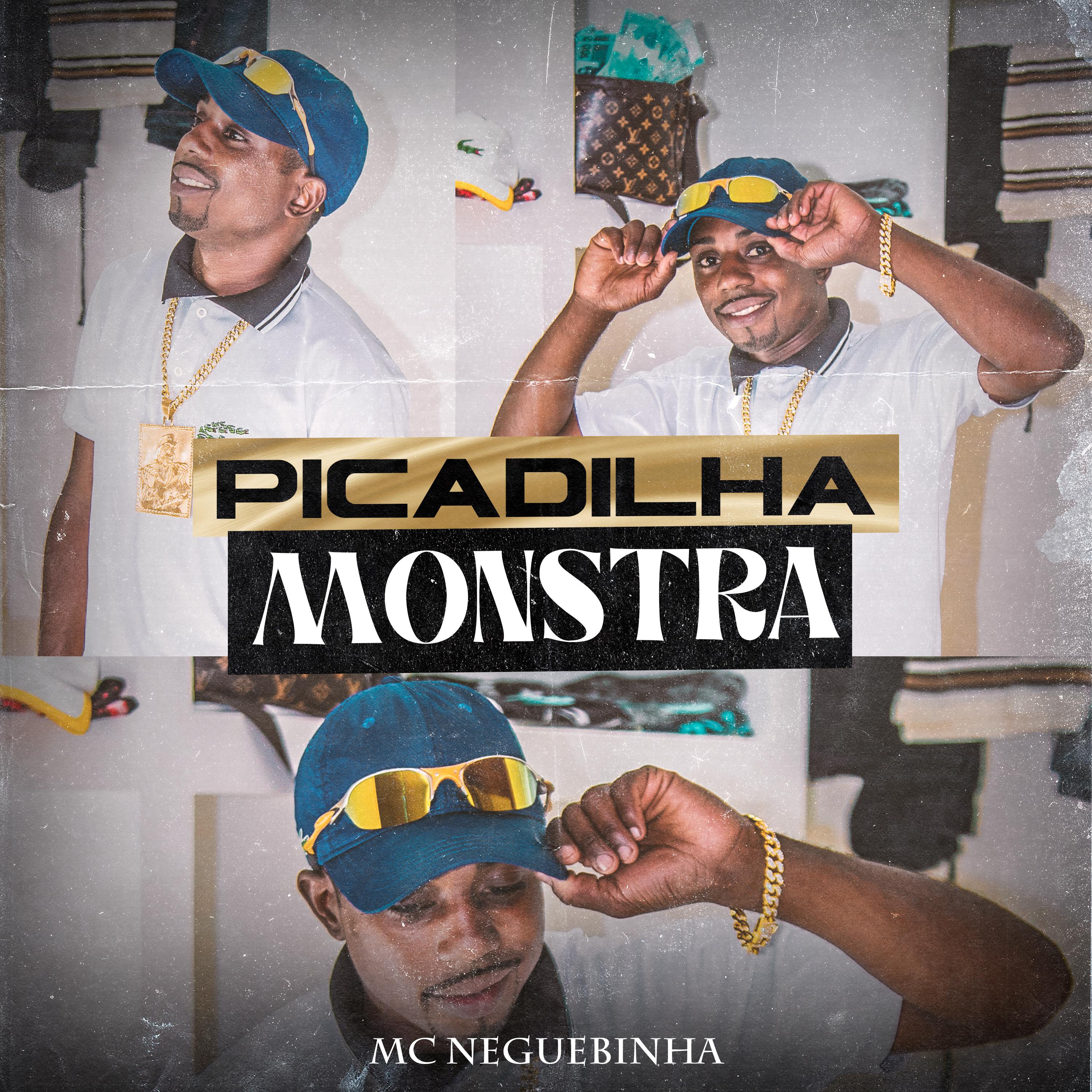 Постер альбома Picadilha Monstra