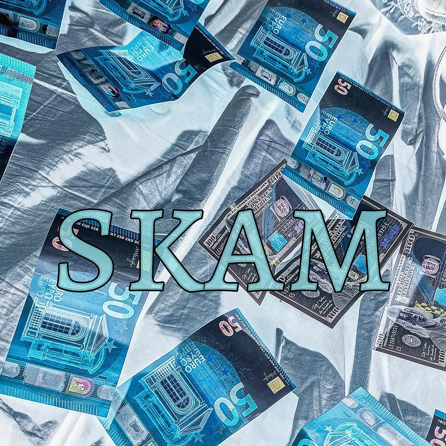 Постер альбома SKAM