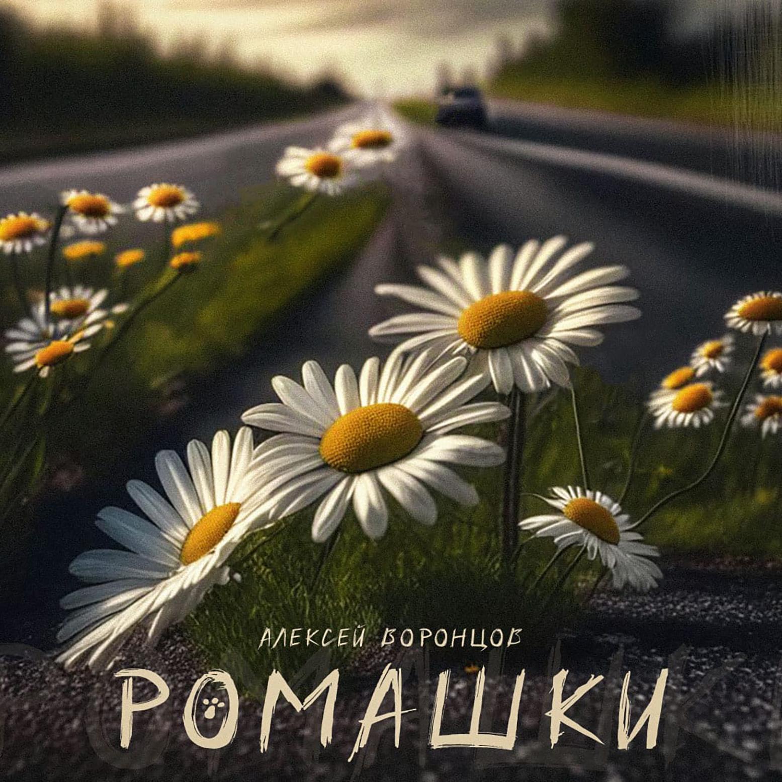 Постер альбома Ромашки