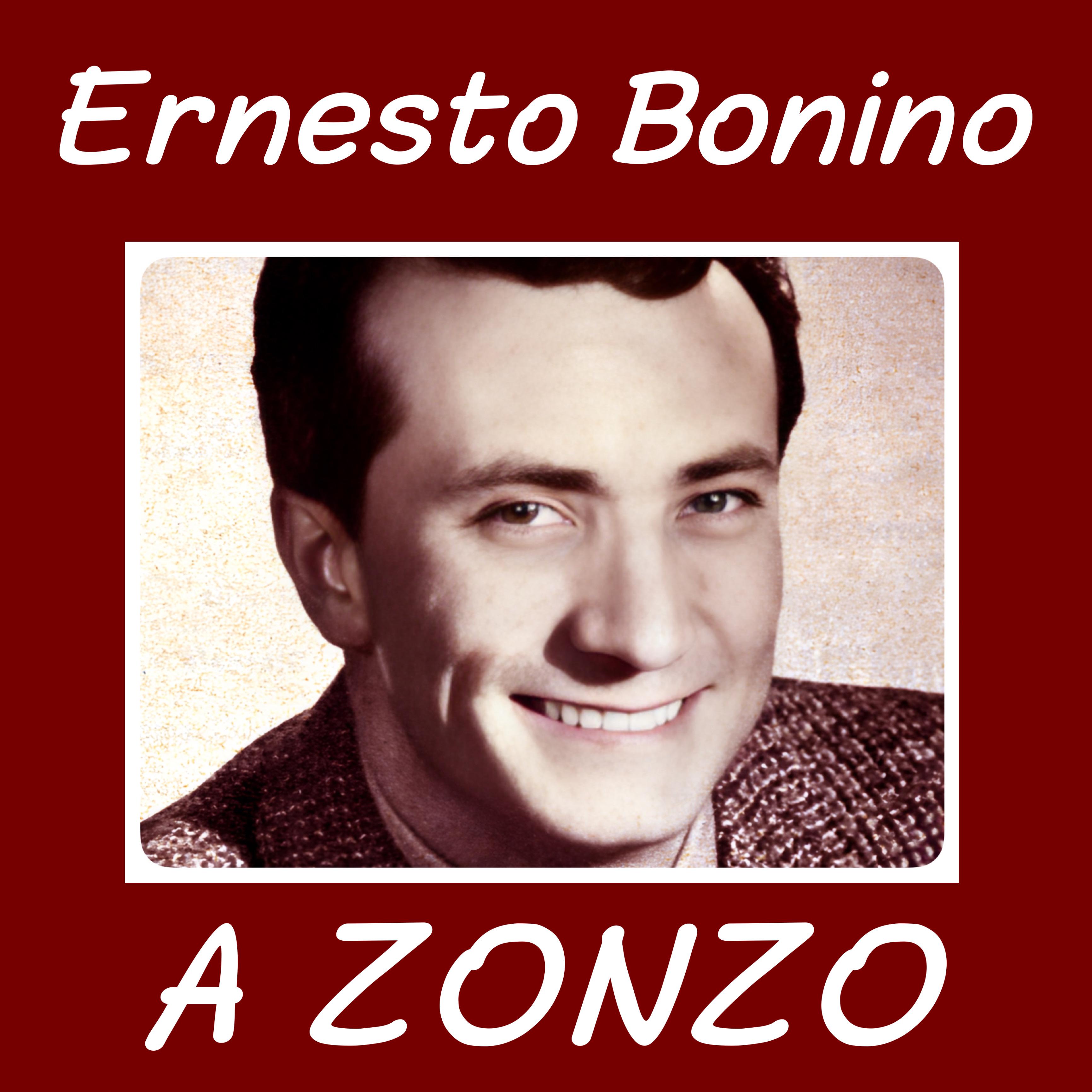 Постер альбома A Zonzo