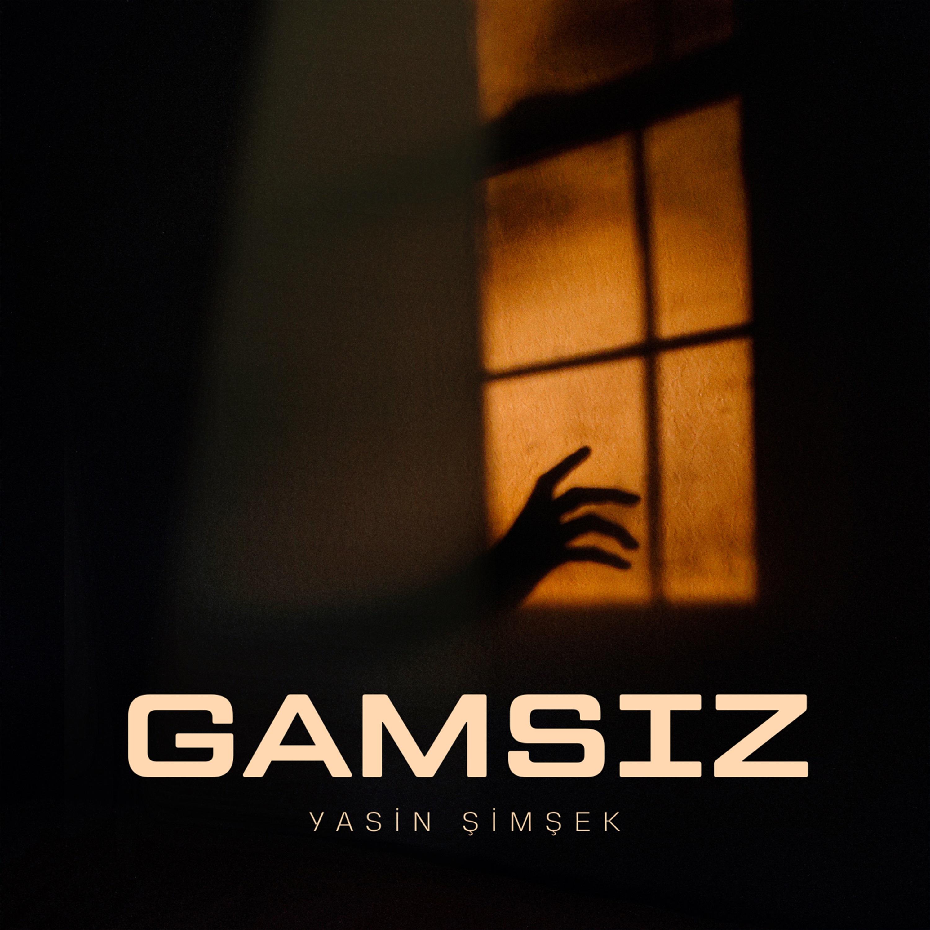 Постер альбома Gamsız