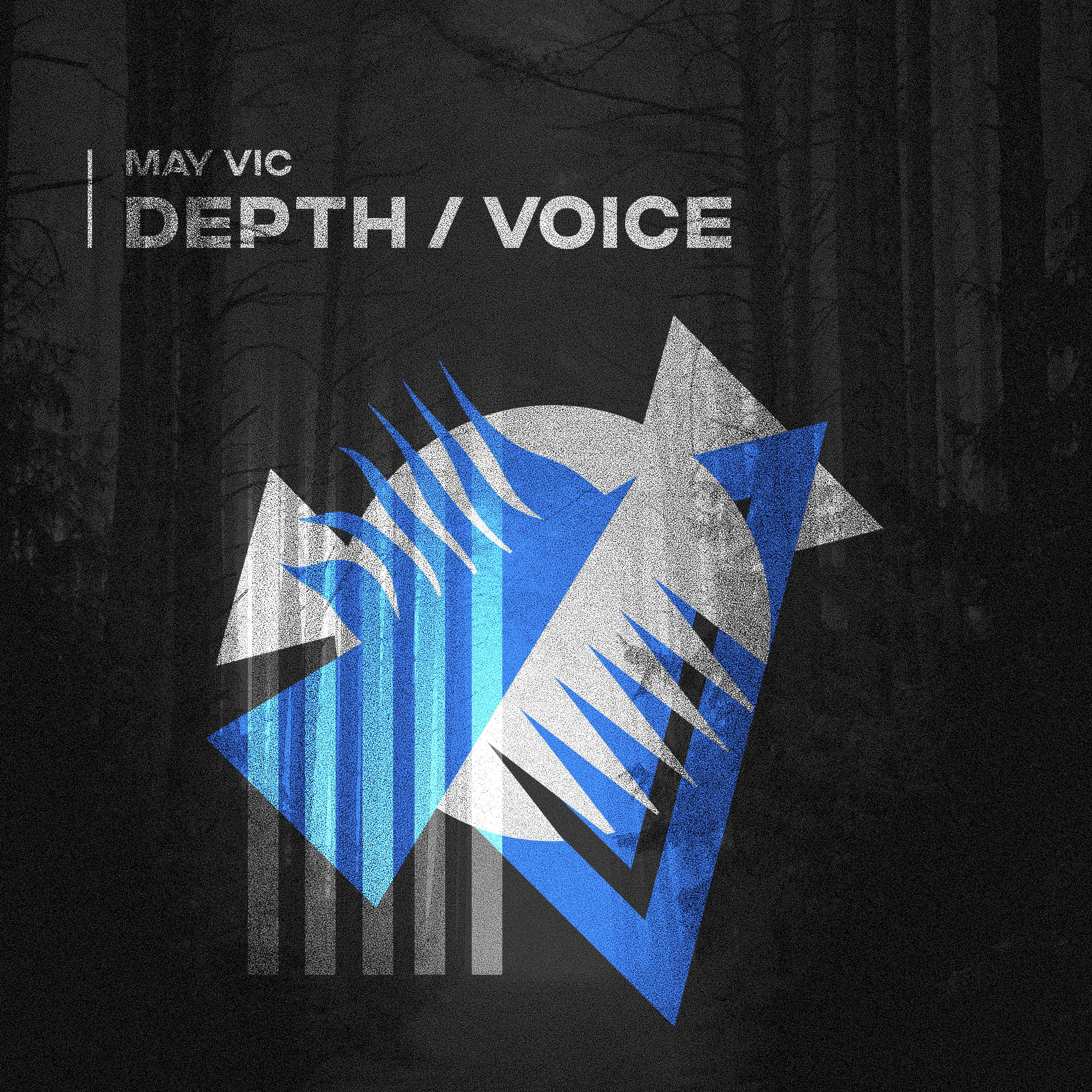 Постер альбома Depth / Voice