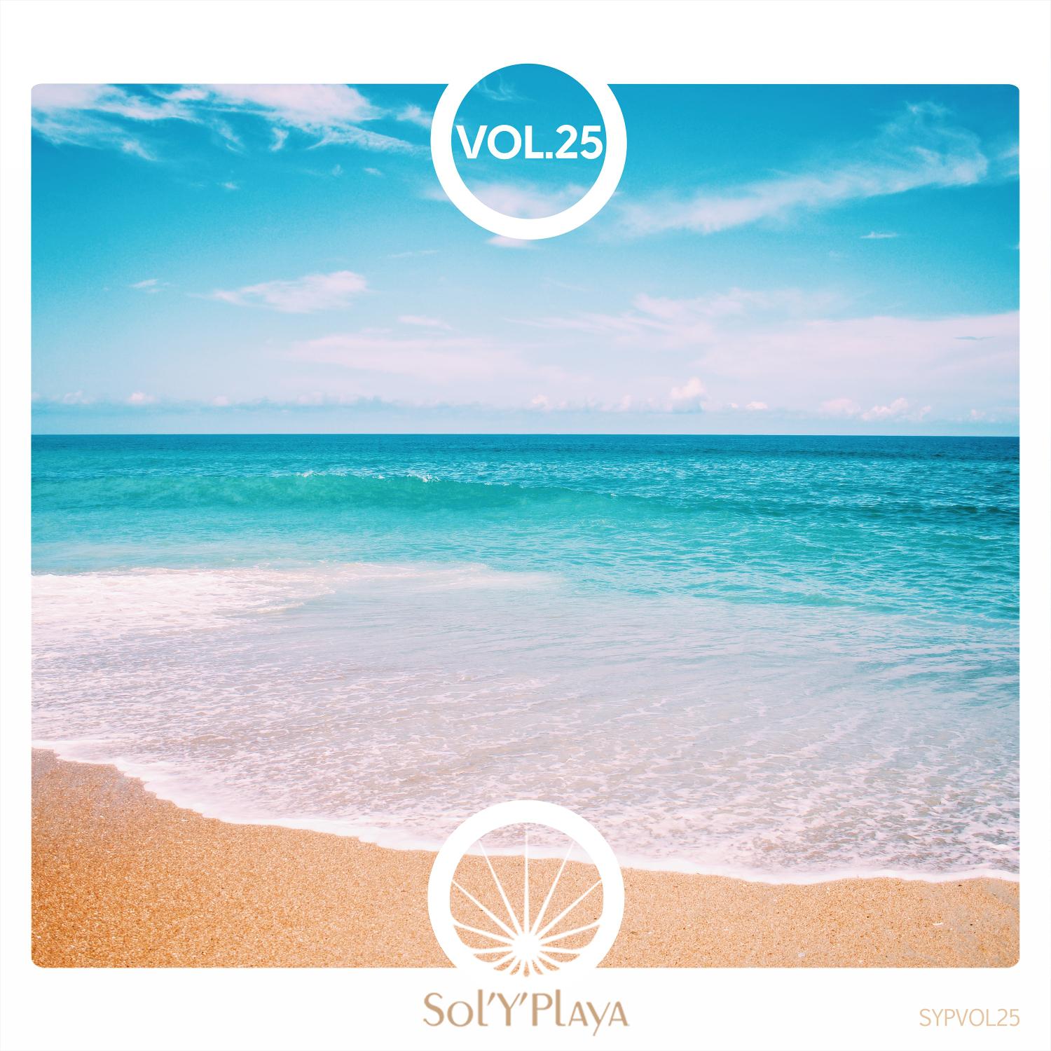 Постер альбома Sol Y Playa, Vol. 25