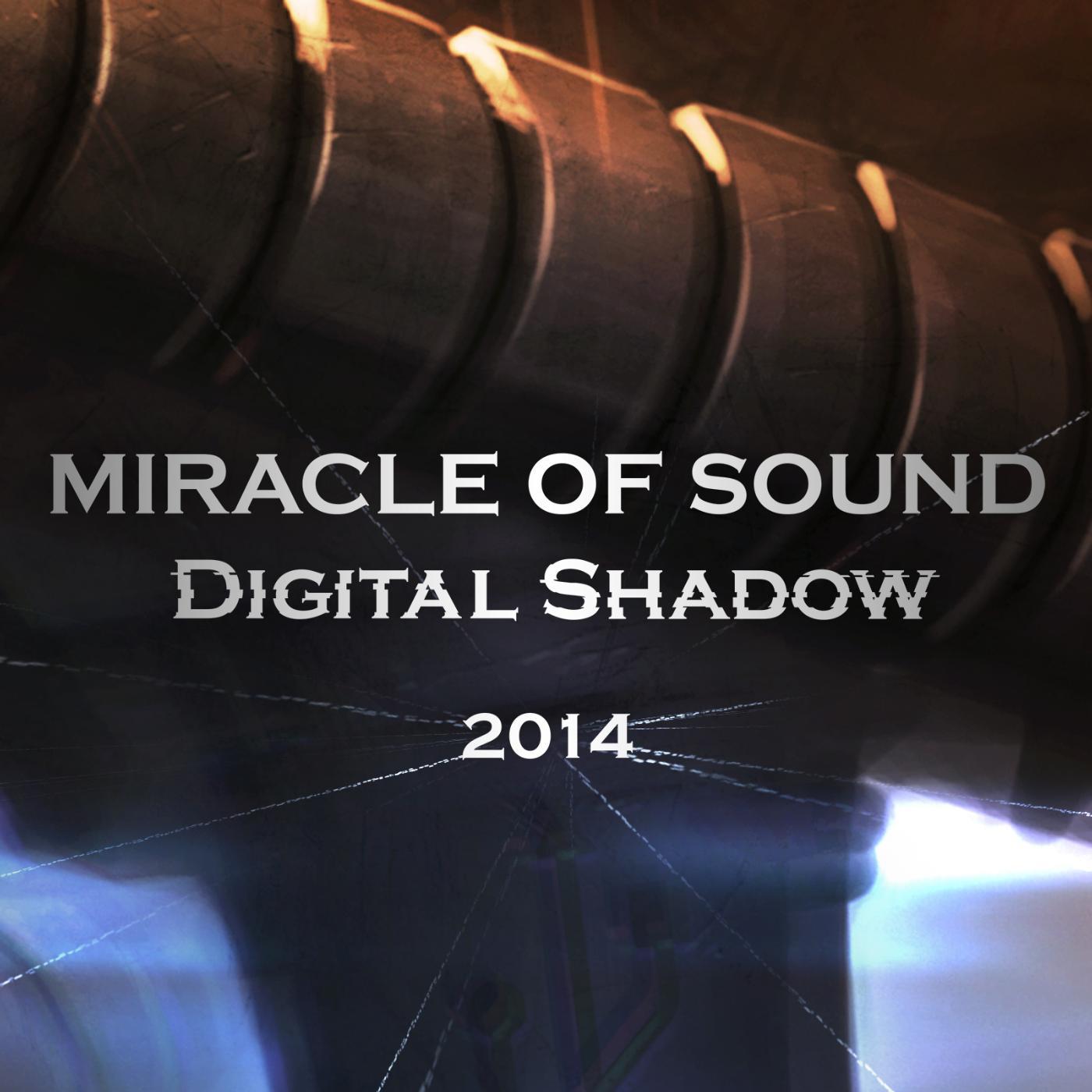 Постер альбома Digital Shadow 2014