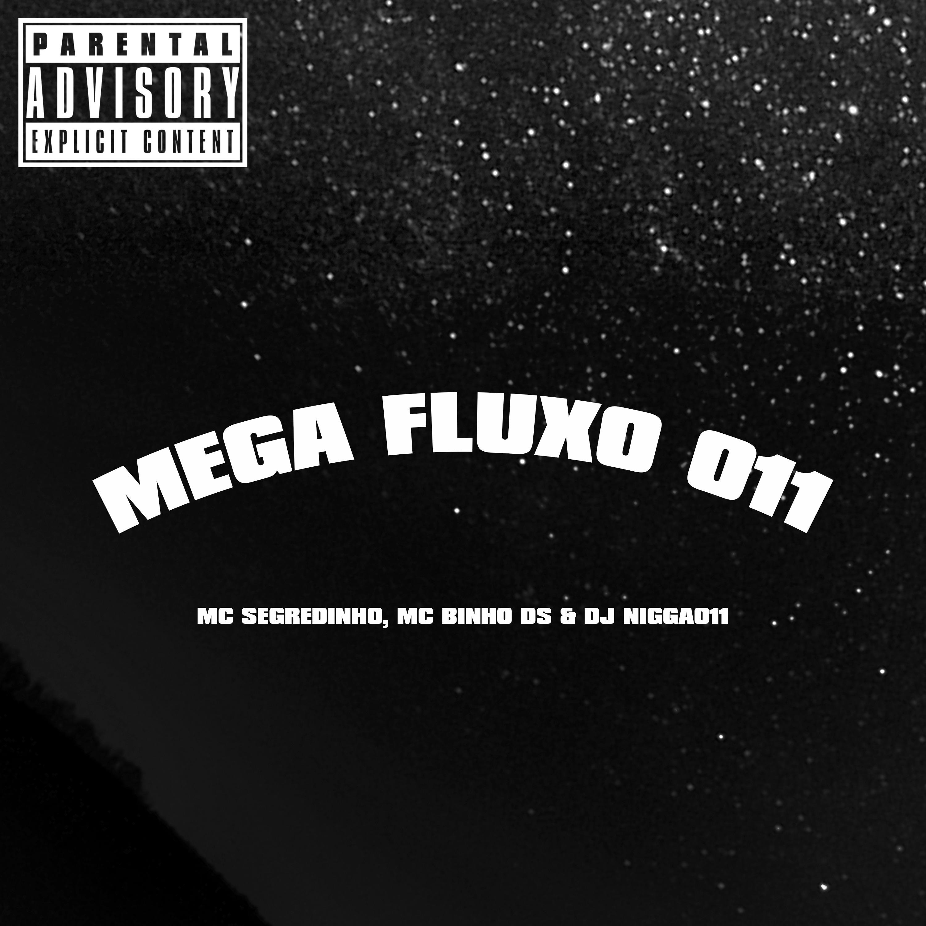 Постер альбома Mega Fluxo 011