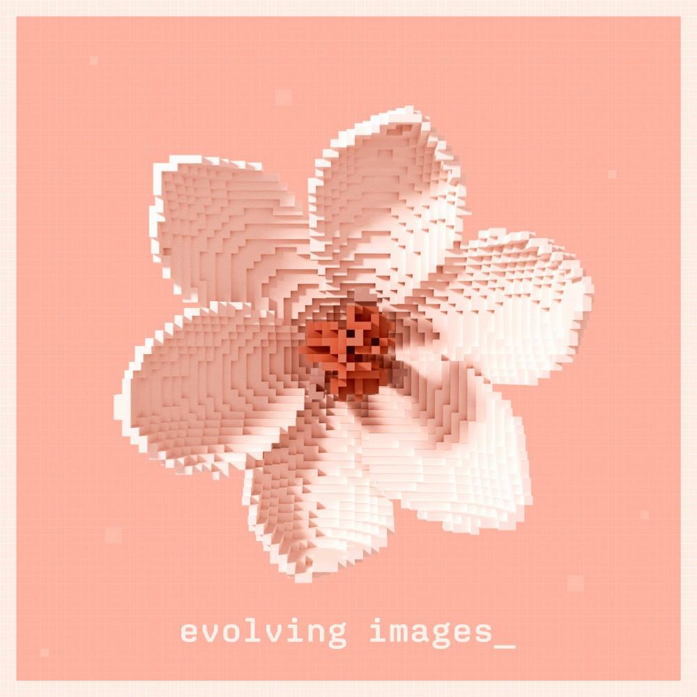 Постер альбома Evolving Images