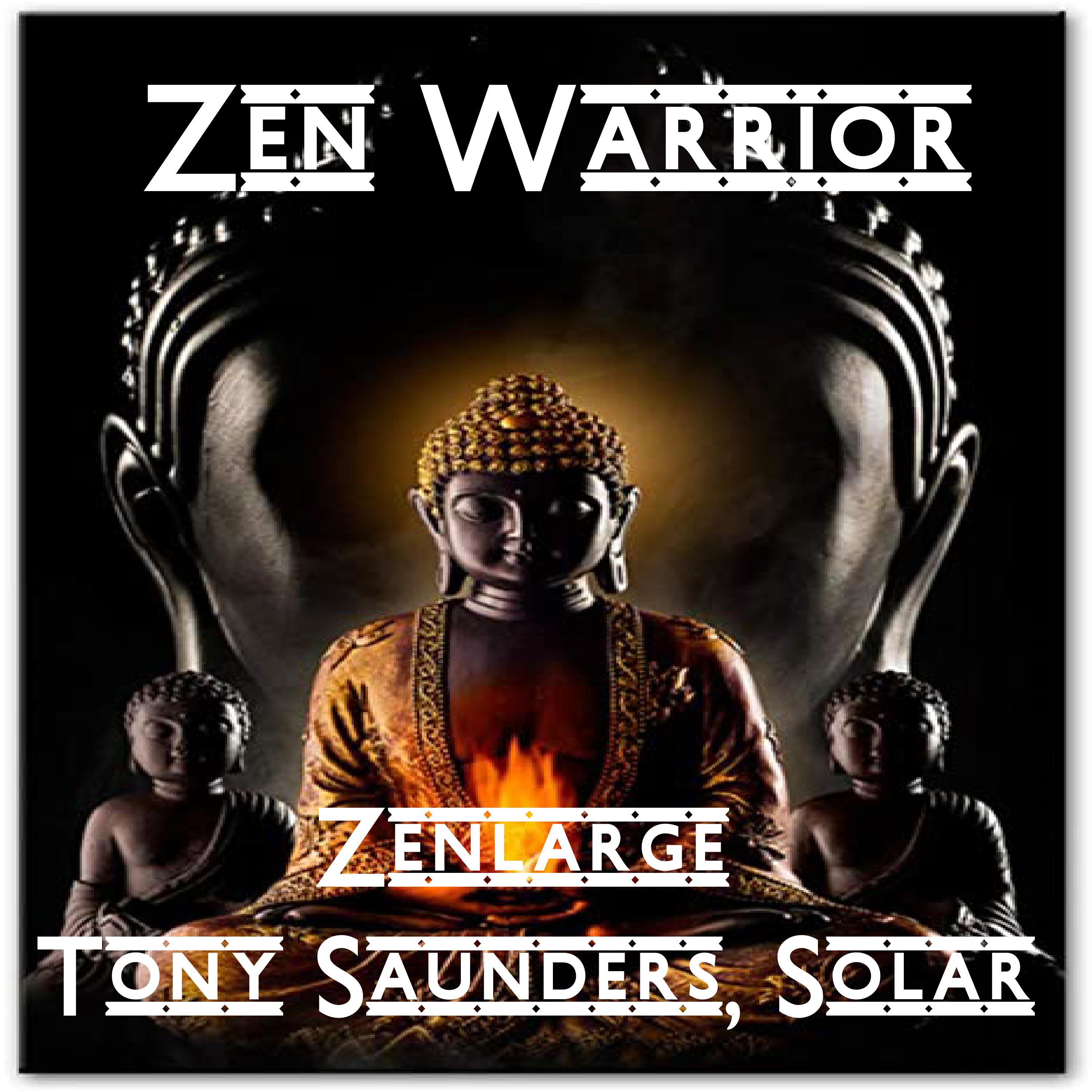 Постер альбома Zen Warrior