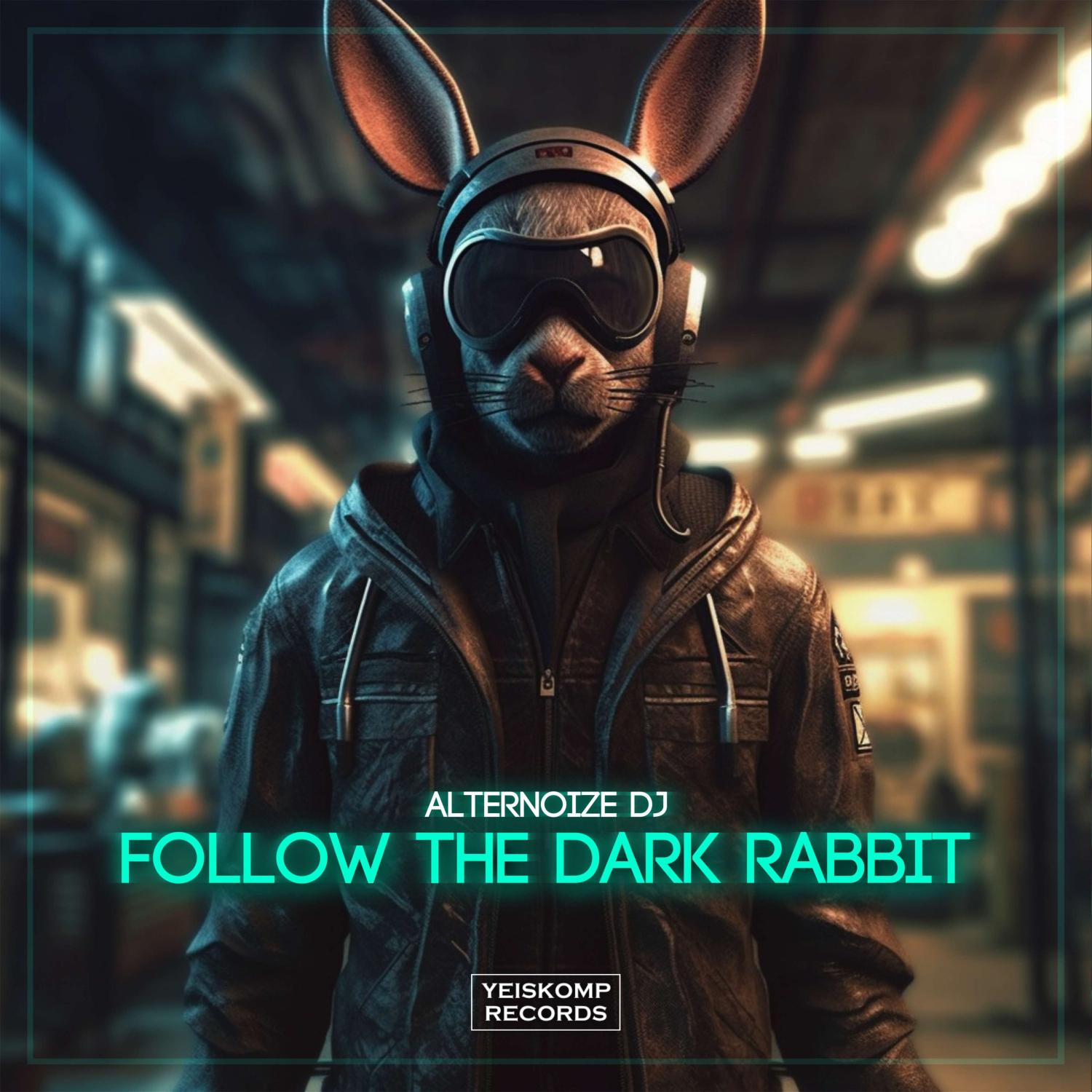 Постер альбома Follow The Dark Rabbit