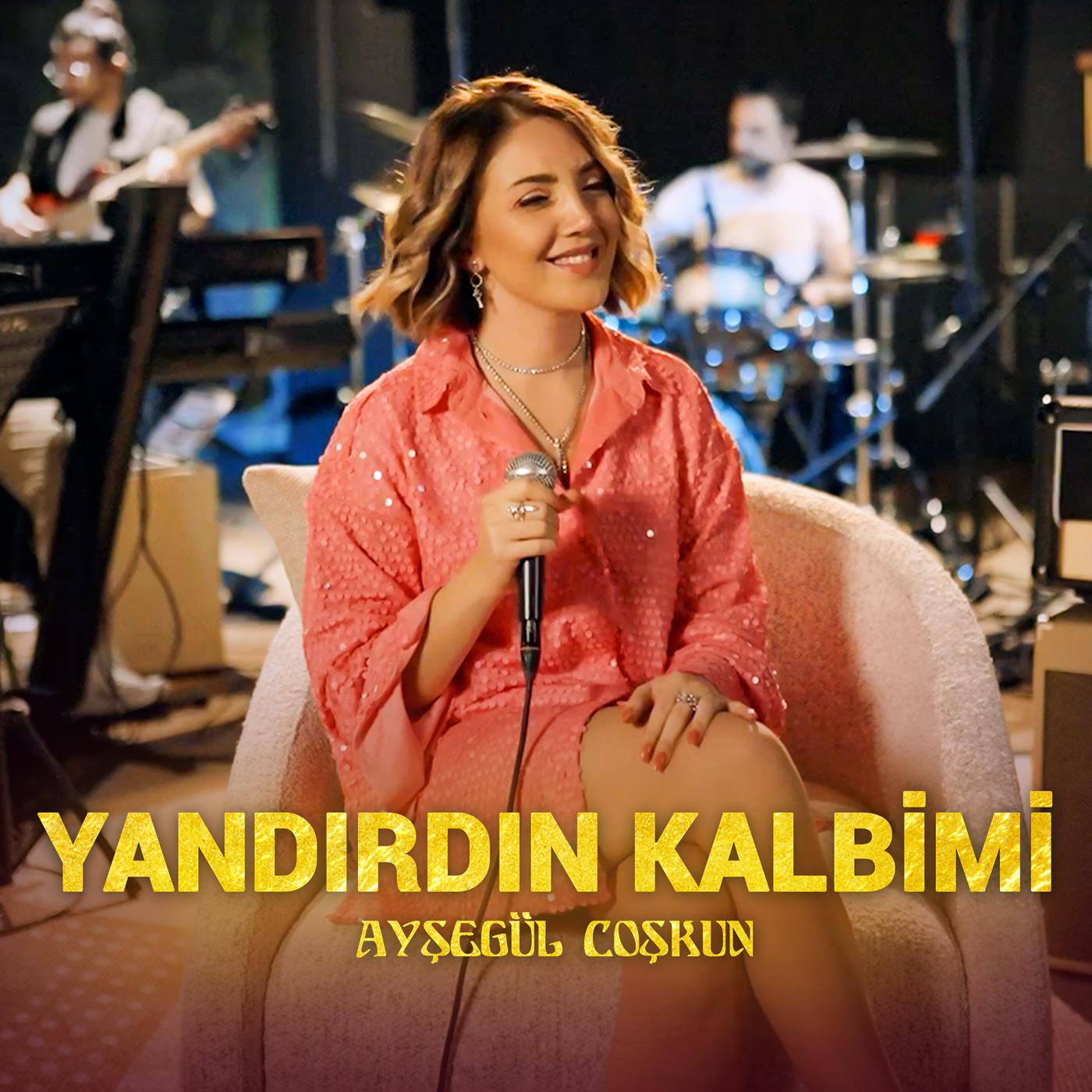 Постер альбома YANDIRDIN KALBİMİ