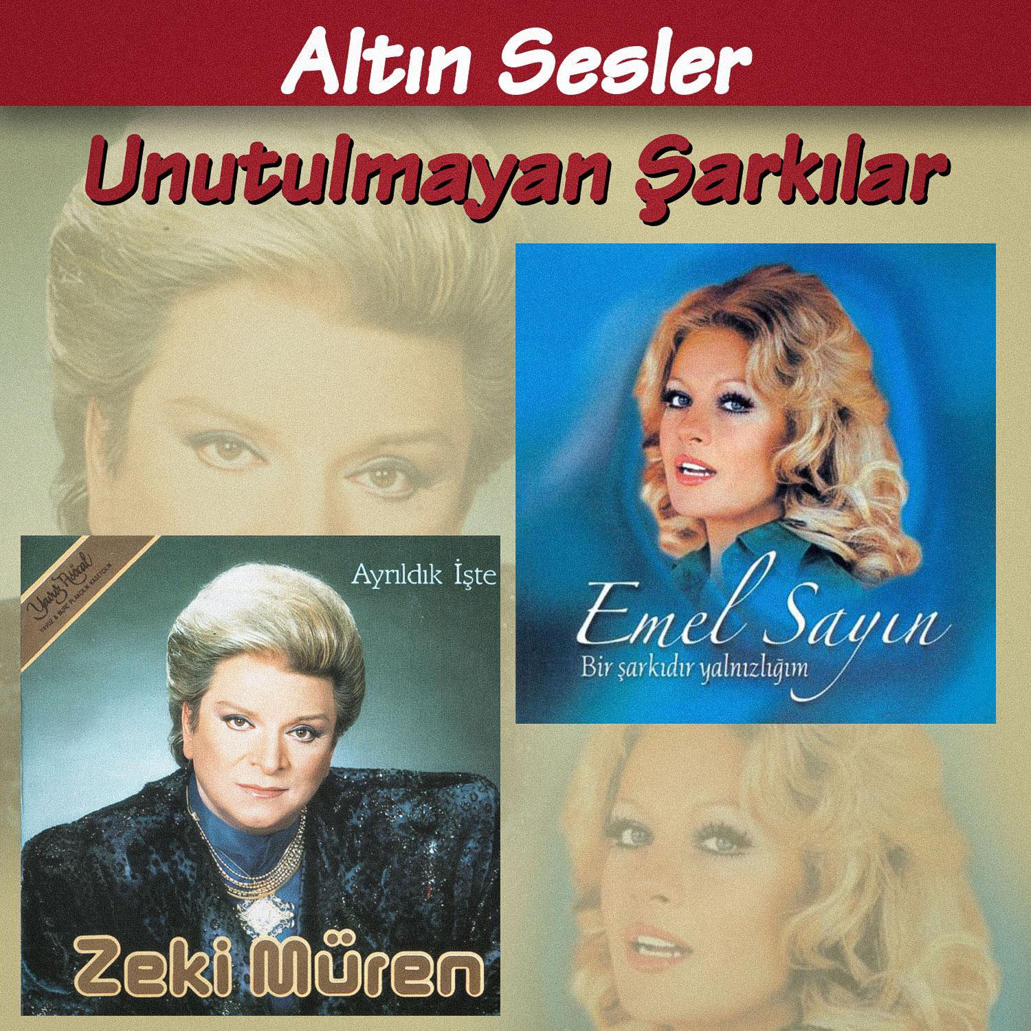 Постер альбома Altın Sesler Unutulmayan Şarkılar