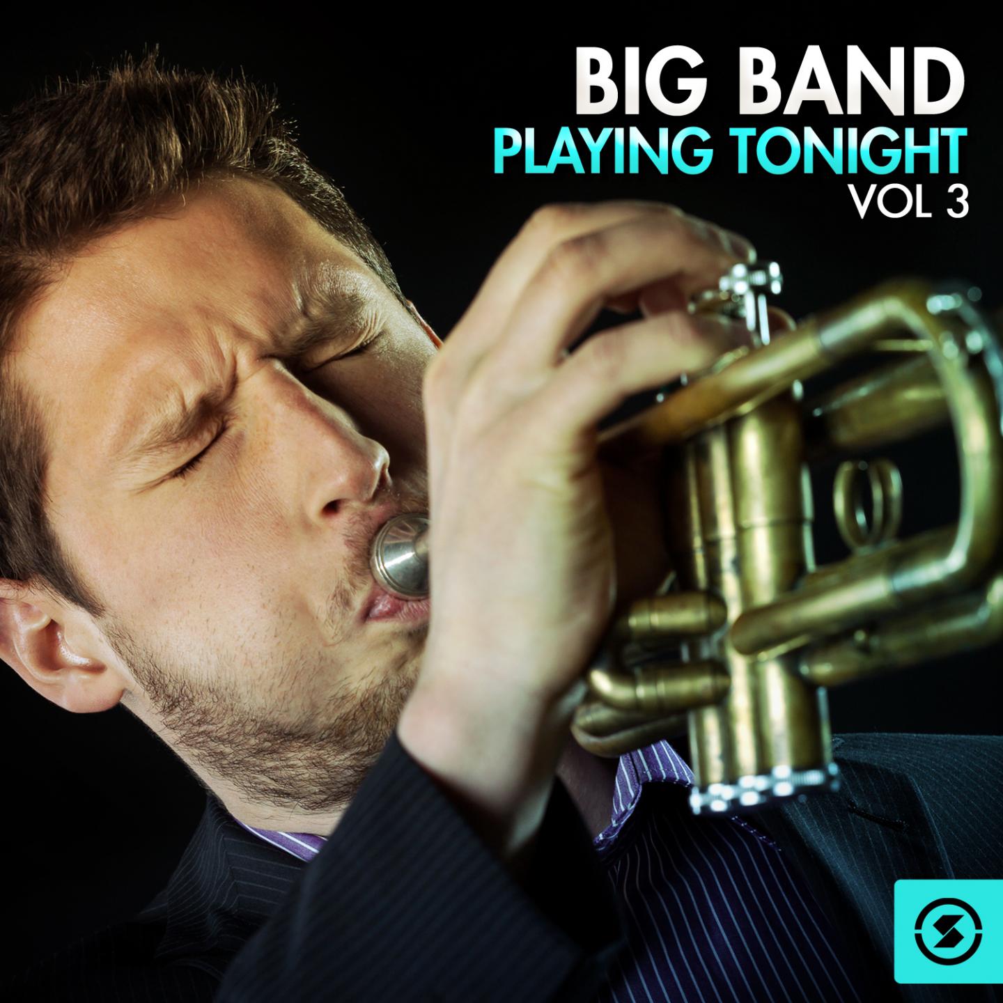 Постер альбома Big Band Playing Tonight, Vol. 3