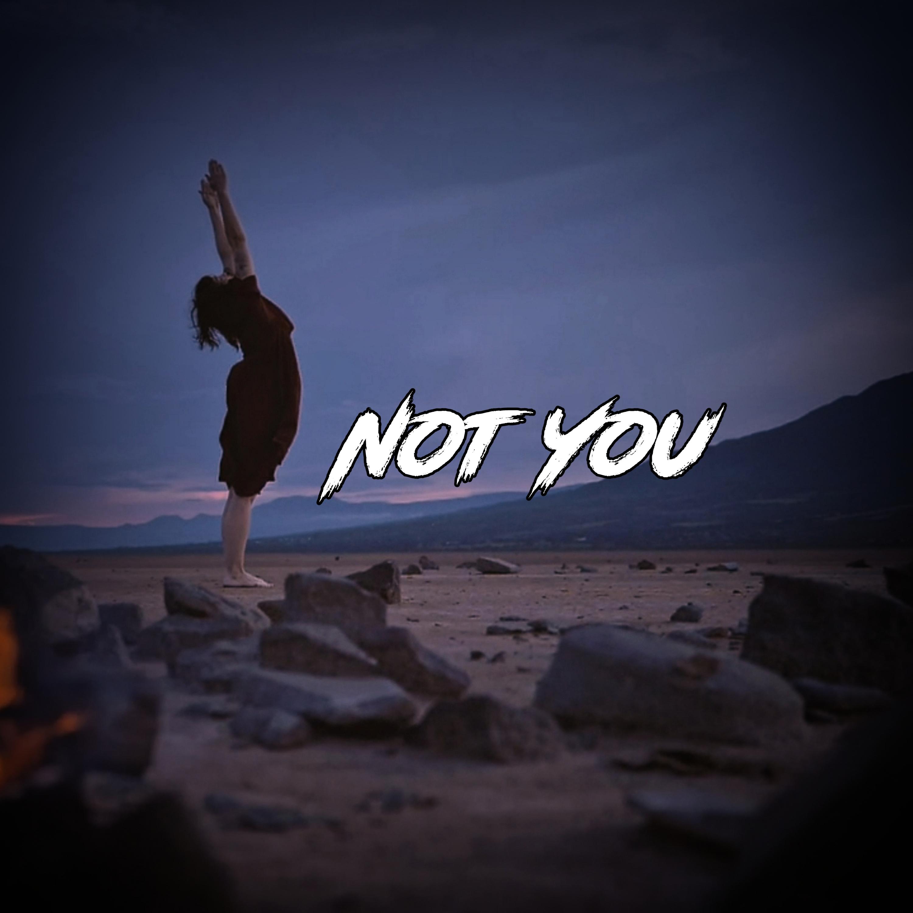 Постер альбома Not You