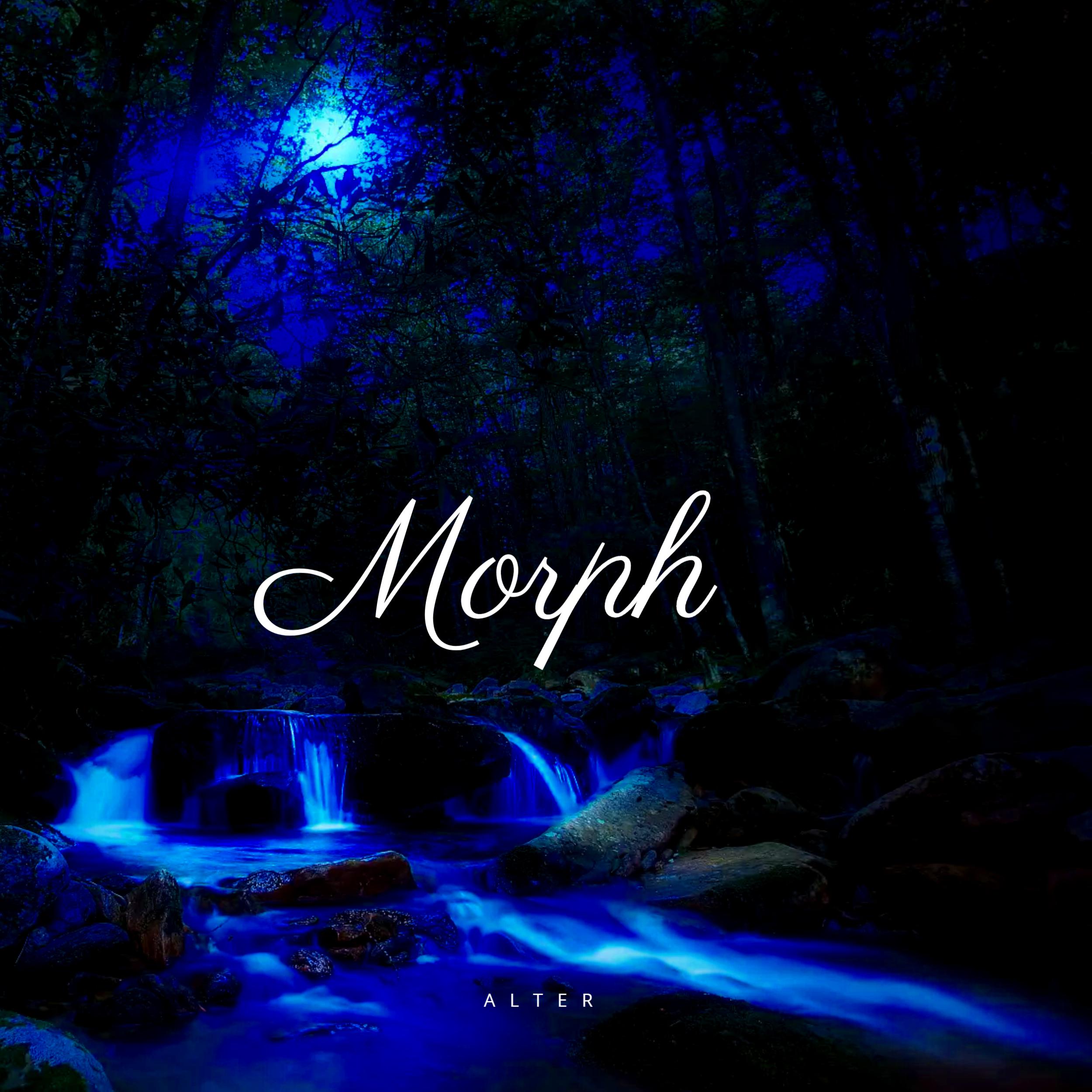 Постер альбома Morph
