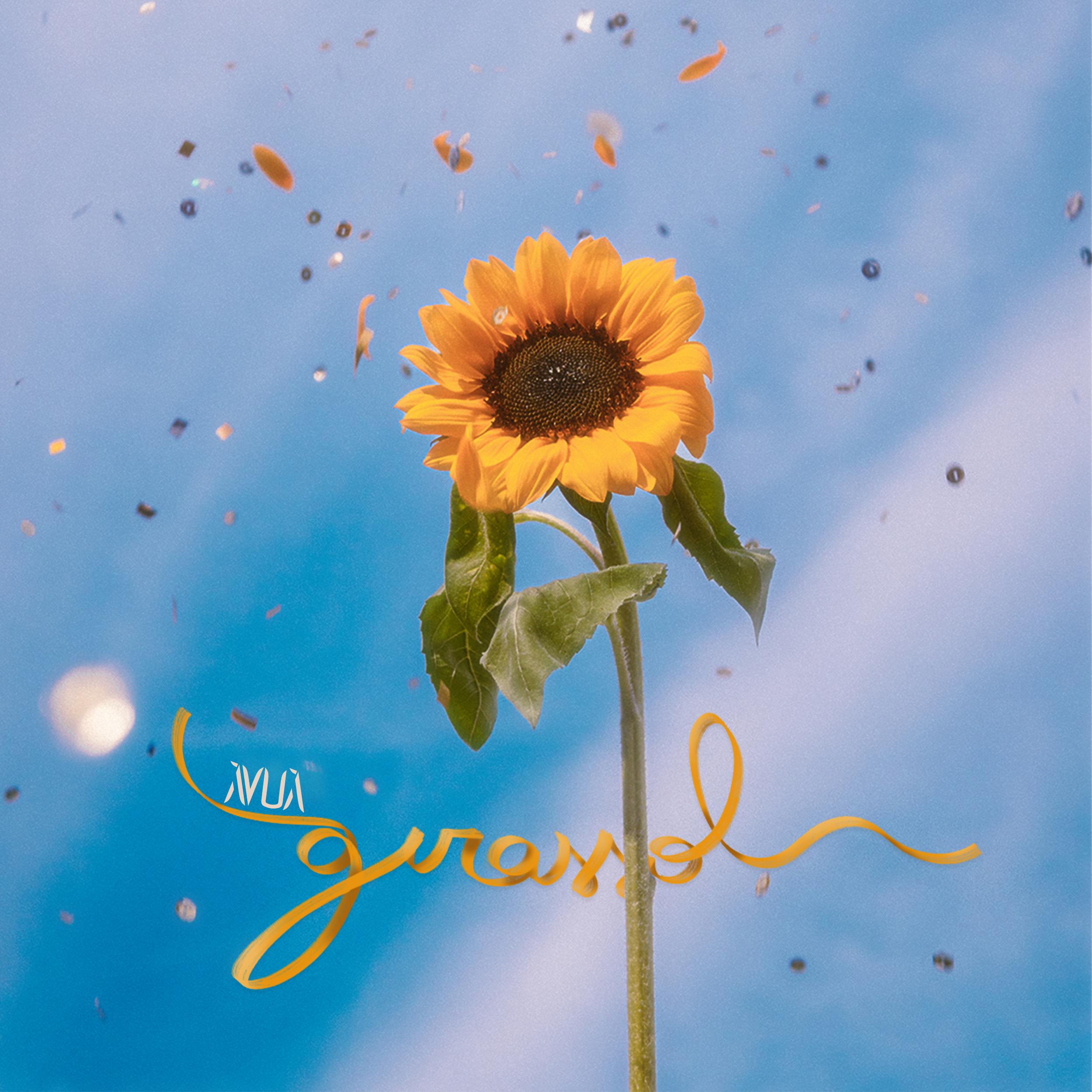 Постер альбома Girassol
